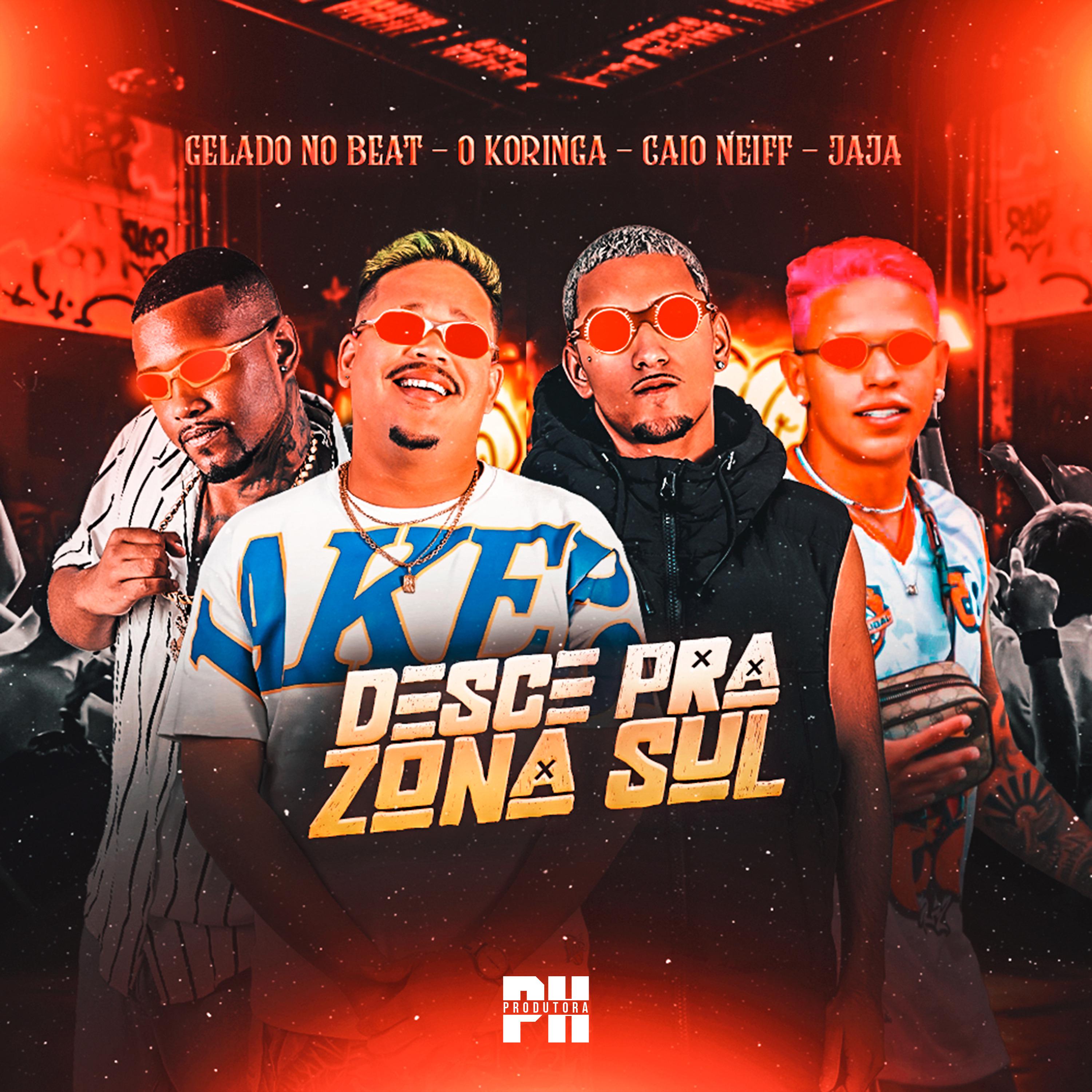 Постер альбома Desce pra Zona Sul