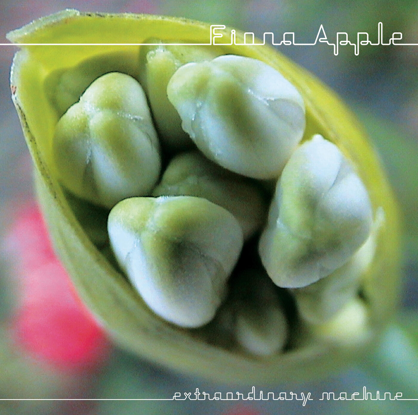 Fiona Apple - A 90 Word Album Title (Live at iTunes Originals)