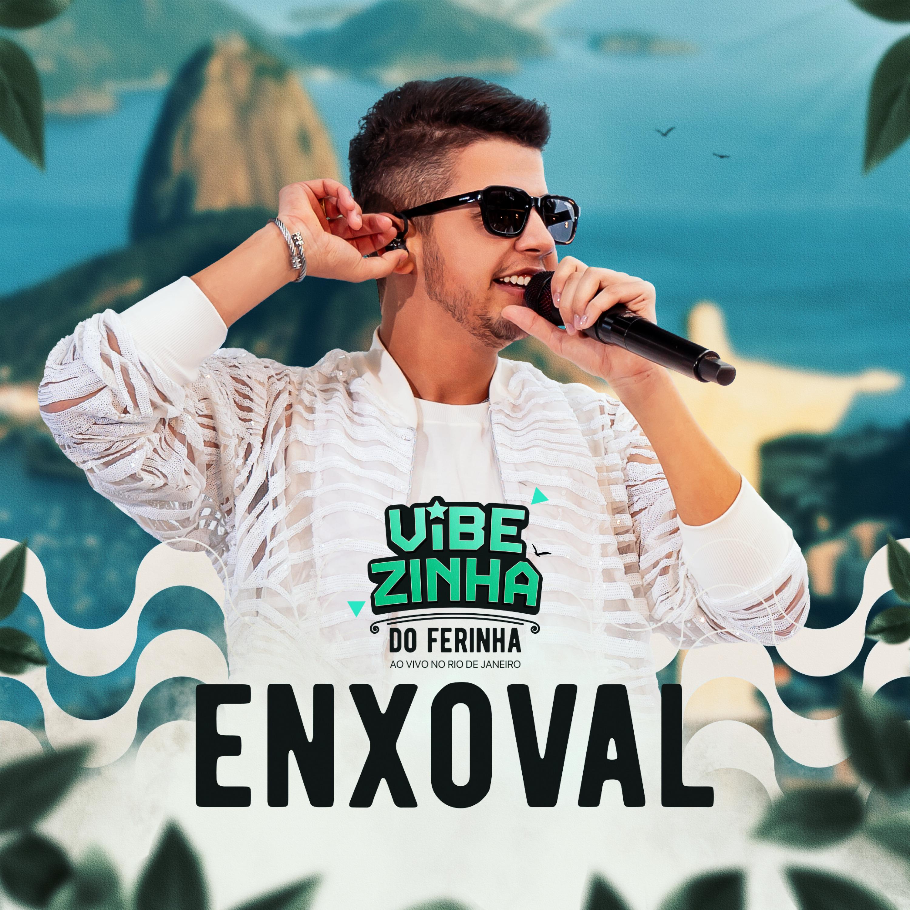 Постер альбома Enxoval (Vibezinha do Ferinha)