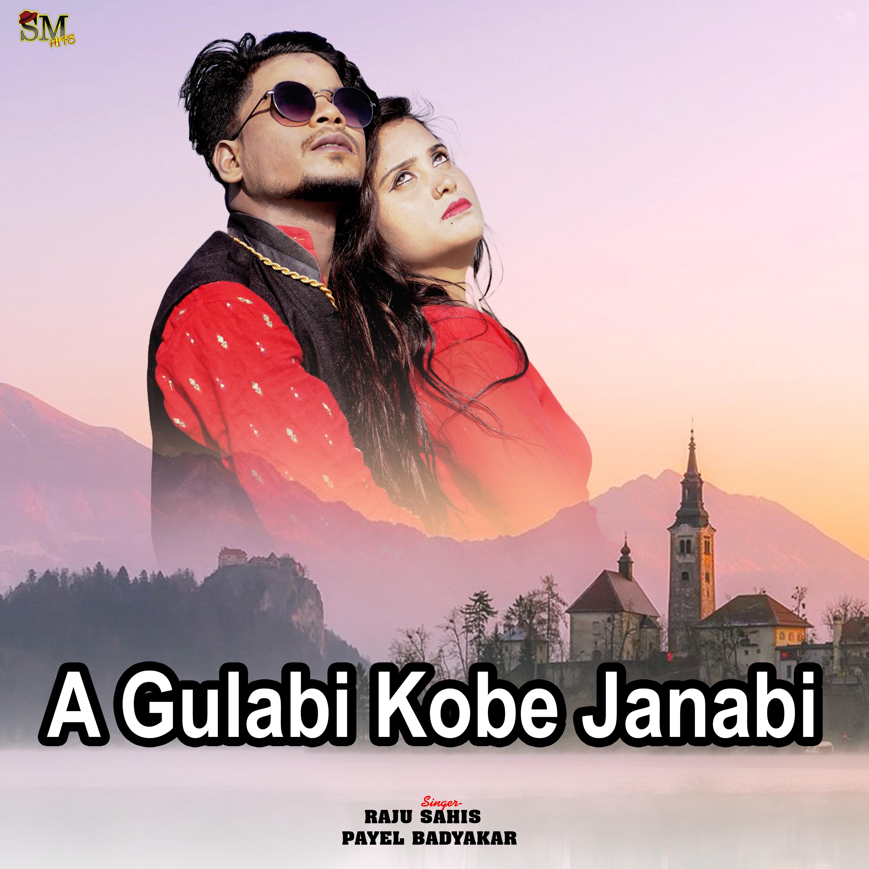 Постер альбома A GULABI KABE JANABI