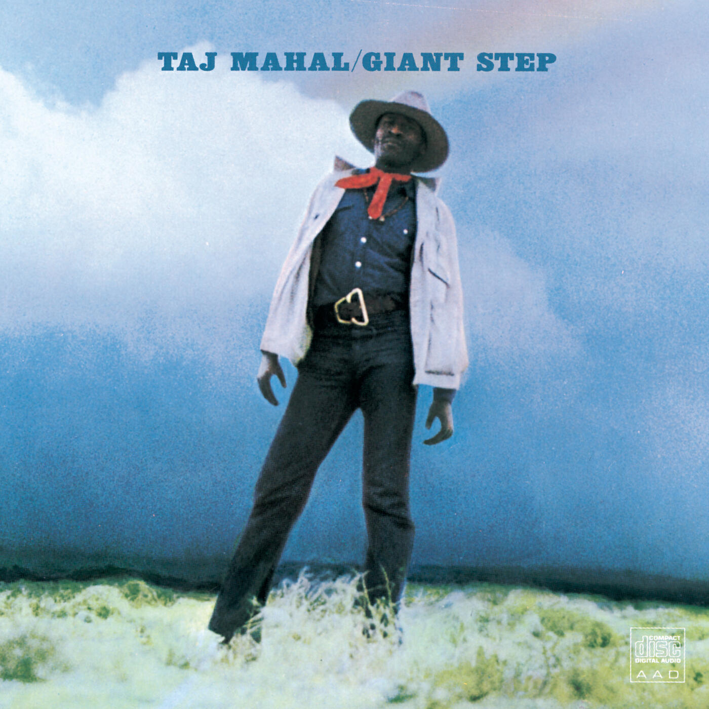 Taj Mahal - Wild Ox Moan