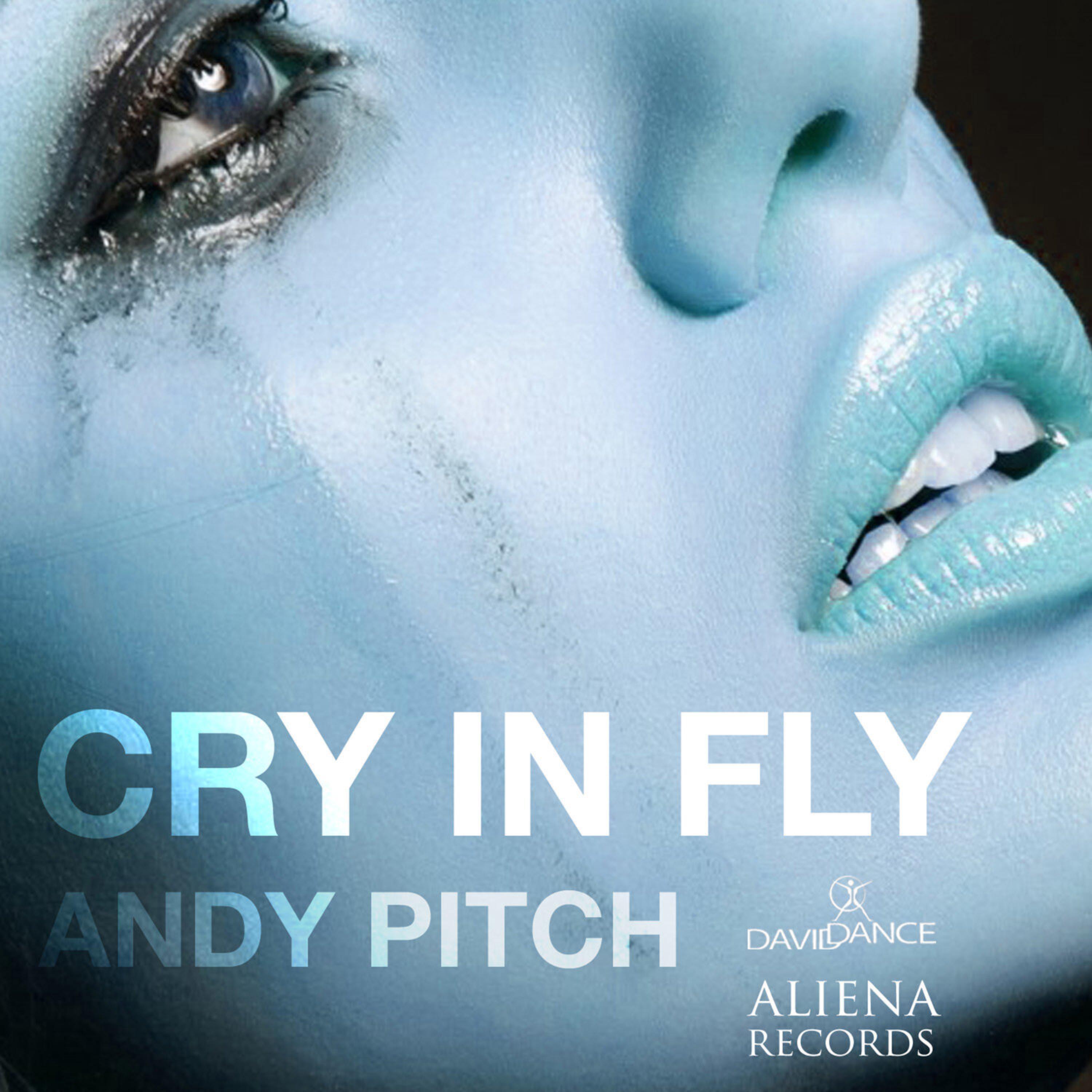 Постер альбома Cry in Fly
