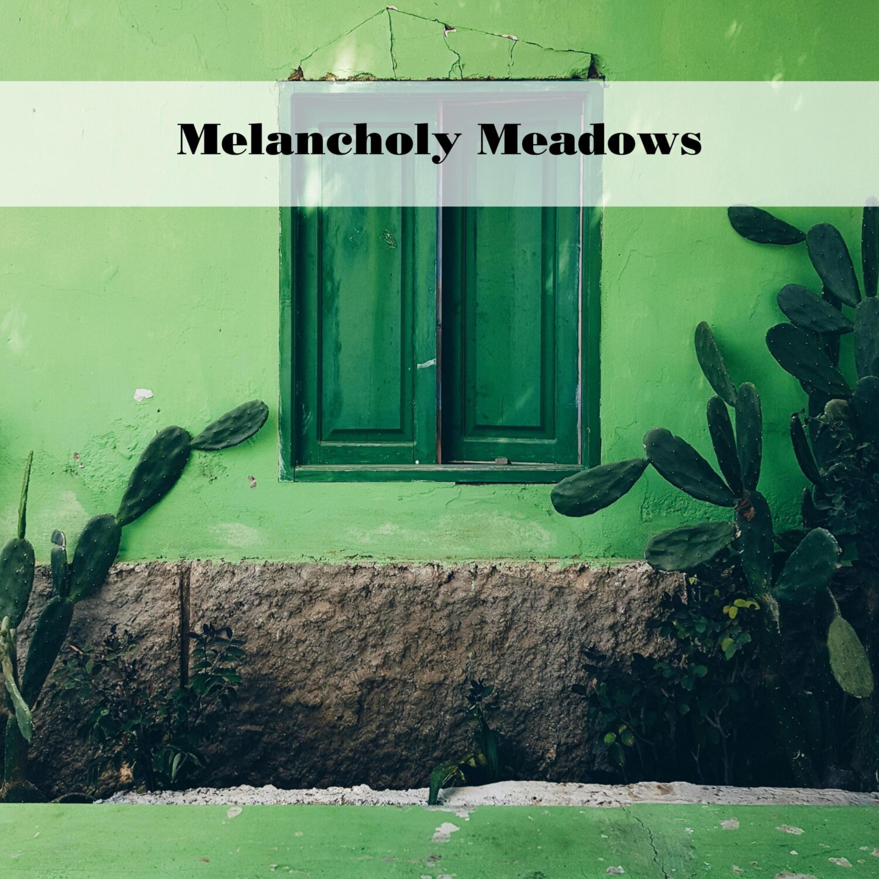 Постер альбома Melancholy Meadows