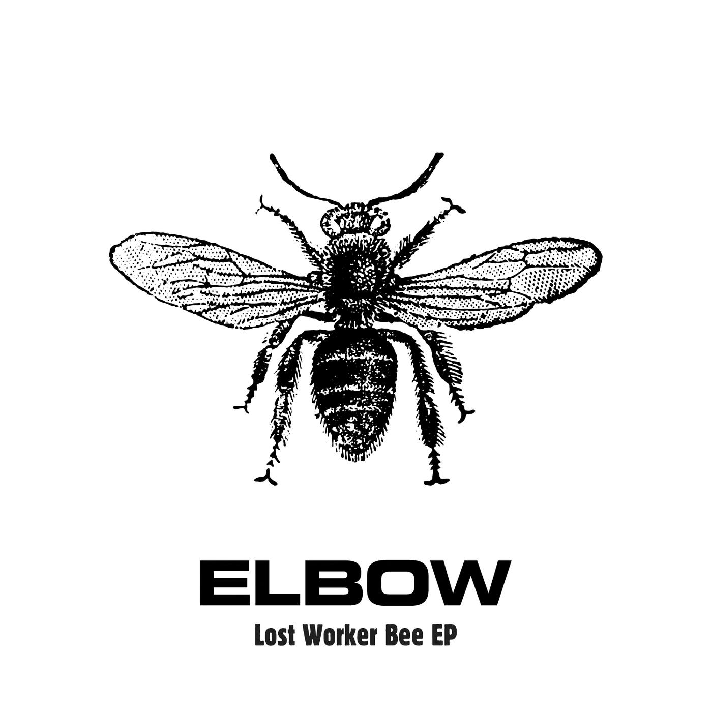 Постер альбома Lost Worker Bee - EP