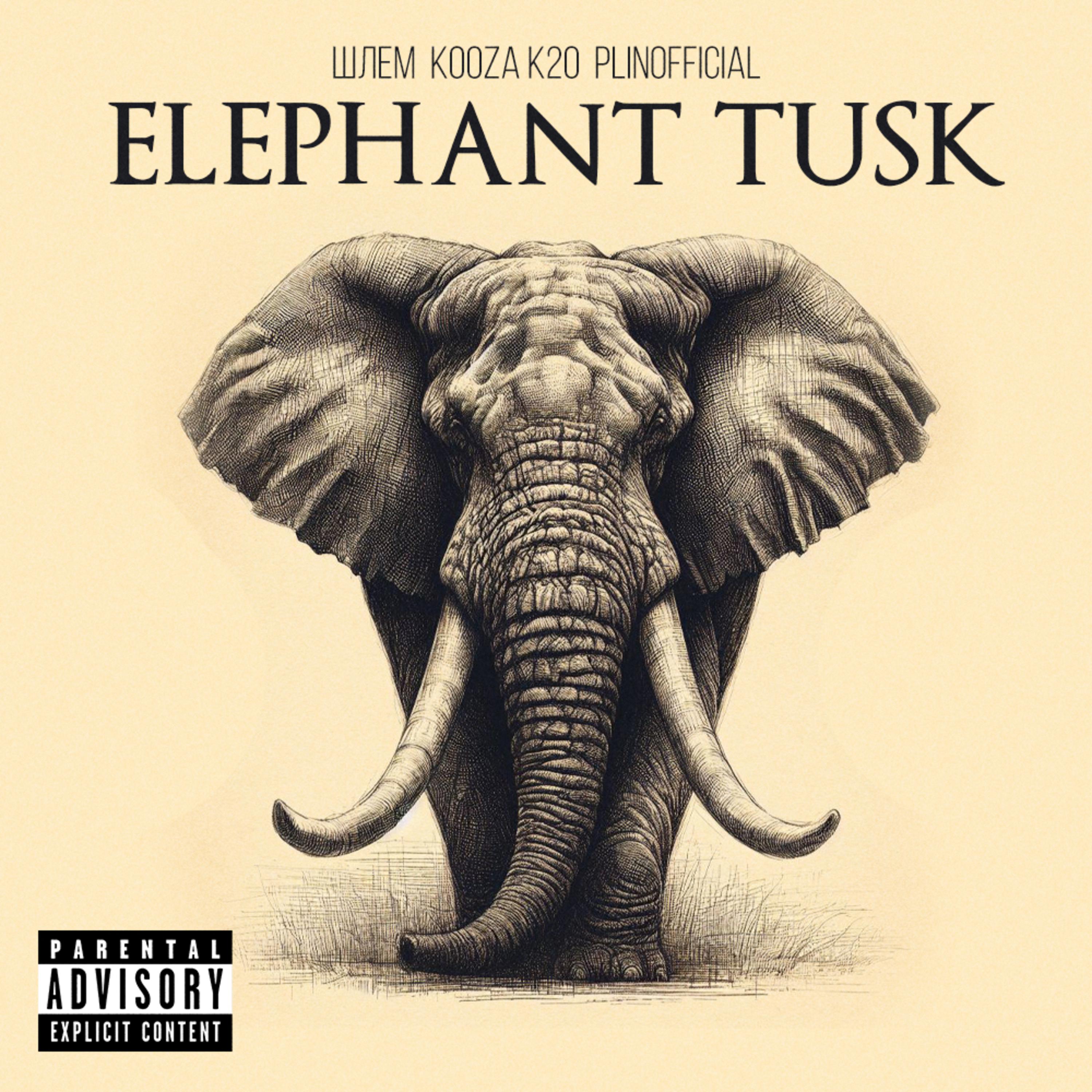 Постер альбома Elephant Tusk