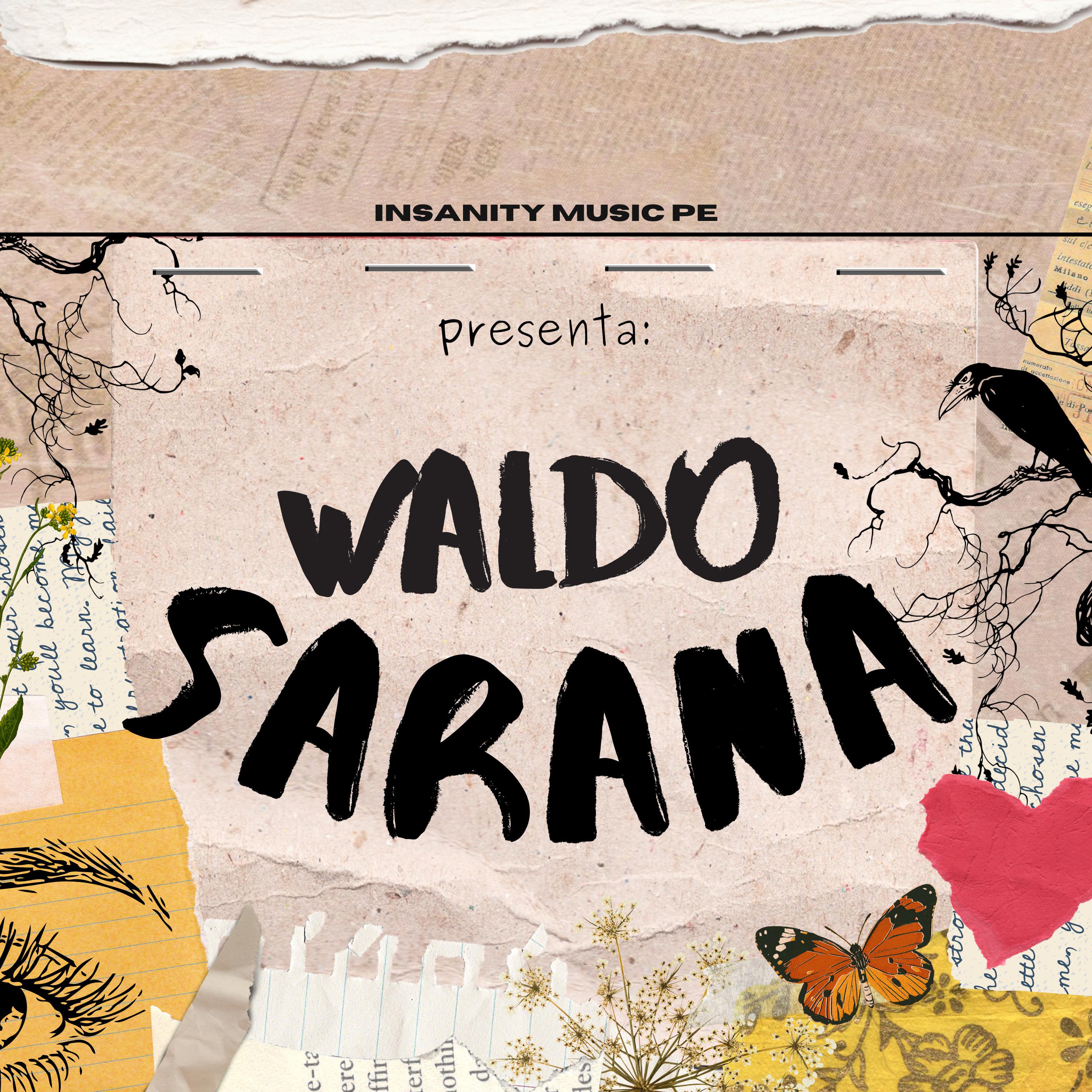 Постер альбома Sarana