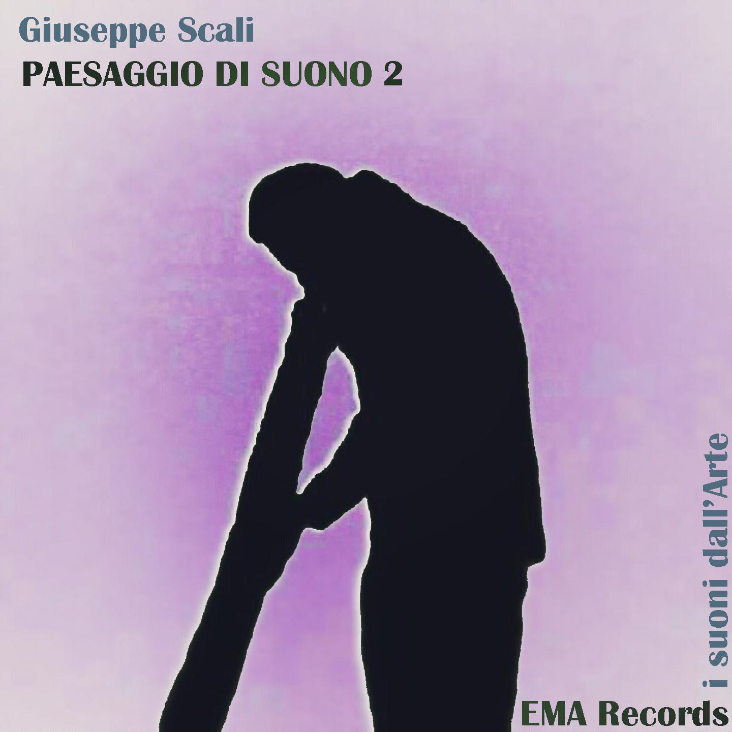 Постер альбома Paesaggio di Suono 2