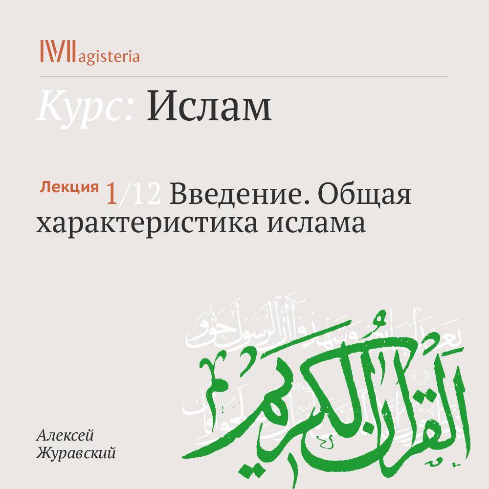 Постер альбома "Введение. Общая характеристика ислама"