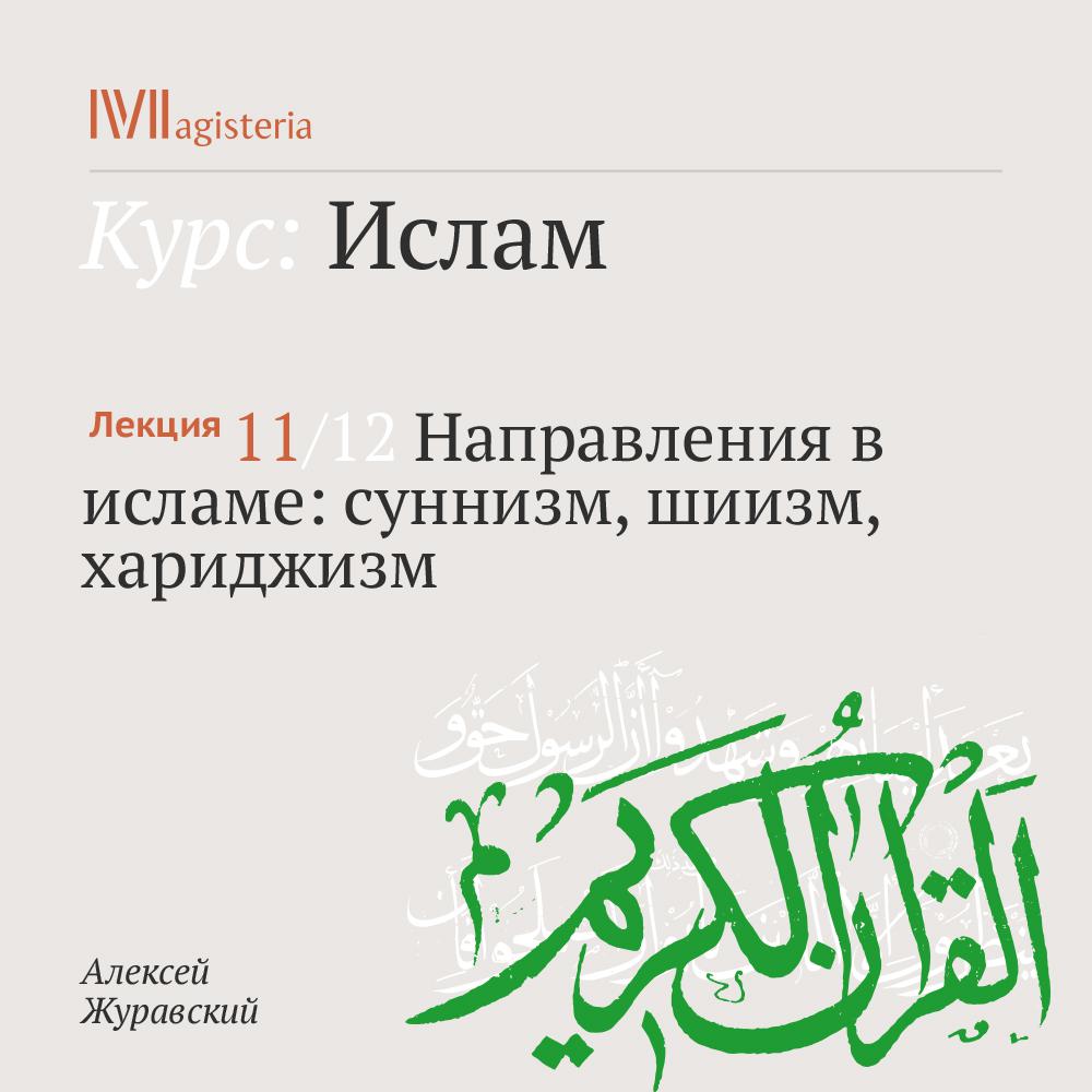 Постер альбома "Направления в исламе: суннизм, шиизм, хариджизм"