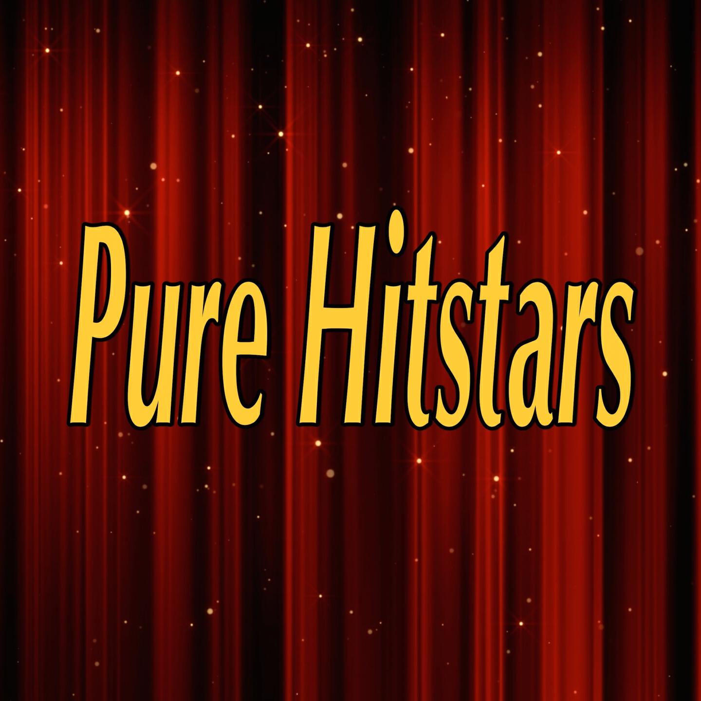 Pure Hitstars - We're going to have a house party (Tribute to Sam Hunt)