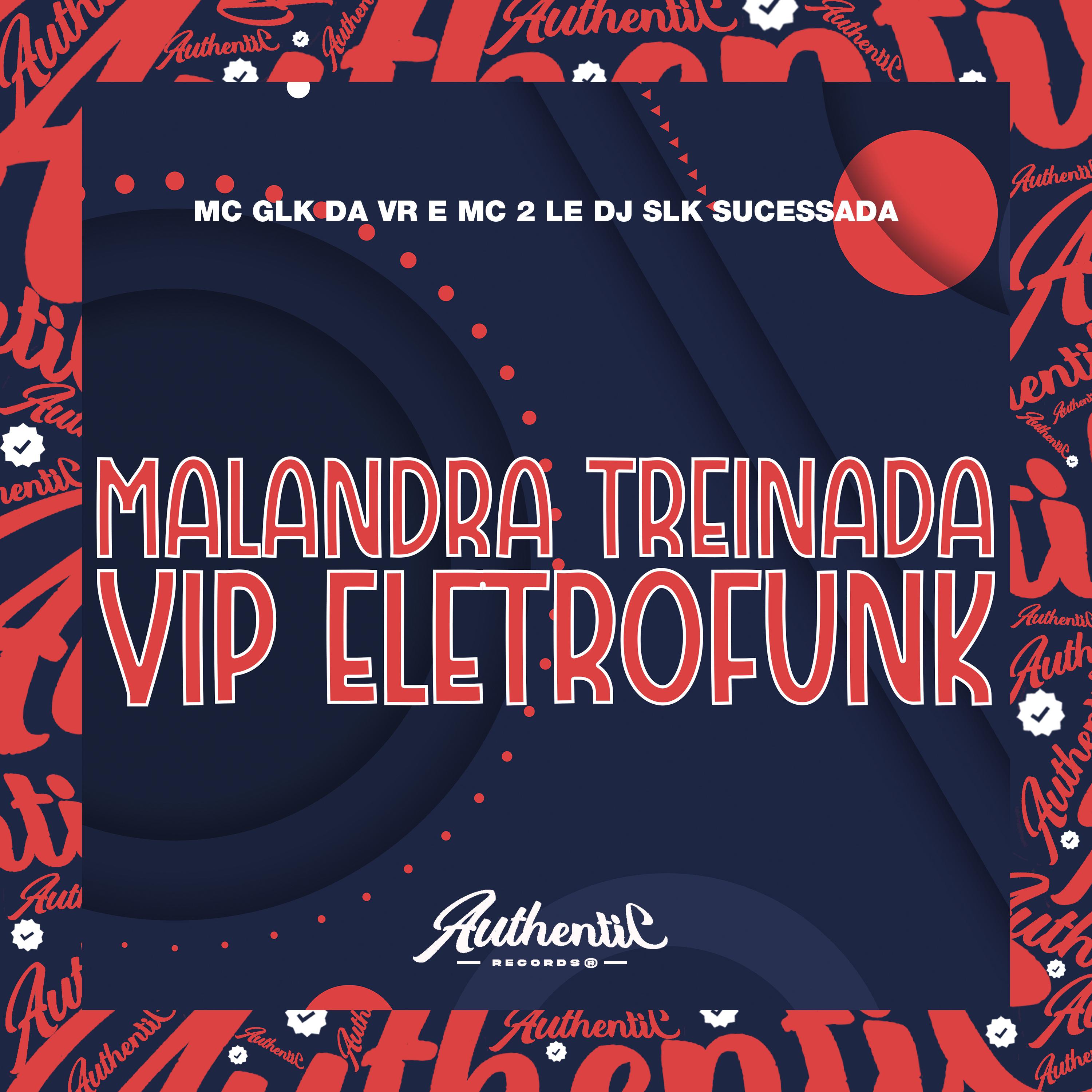 Постер альбома Malandra Treinada Vip Eletrofunk