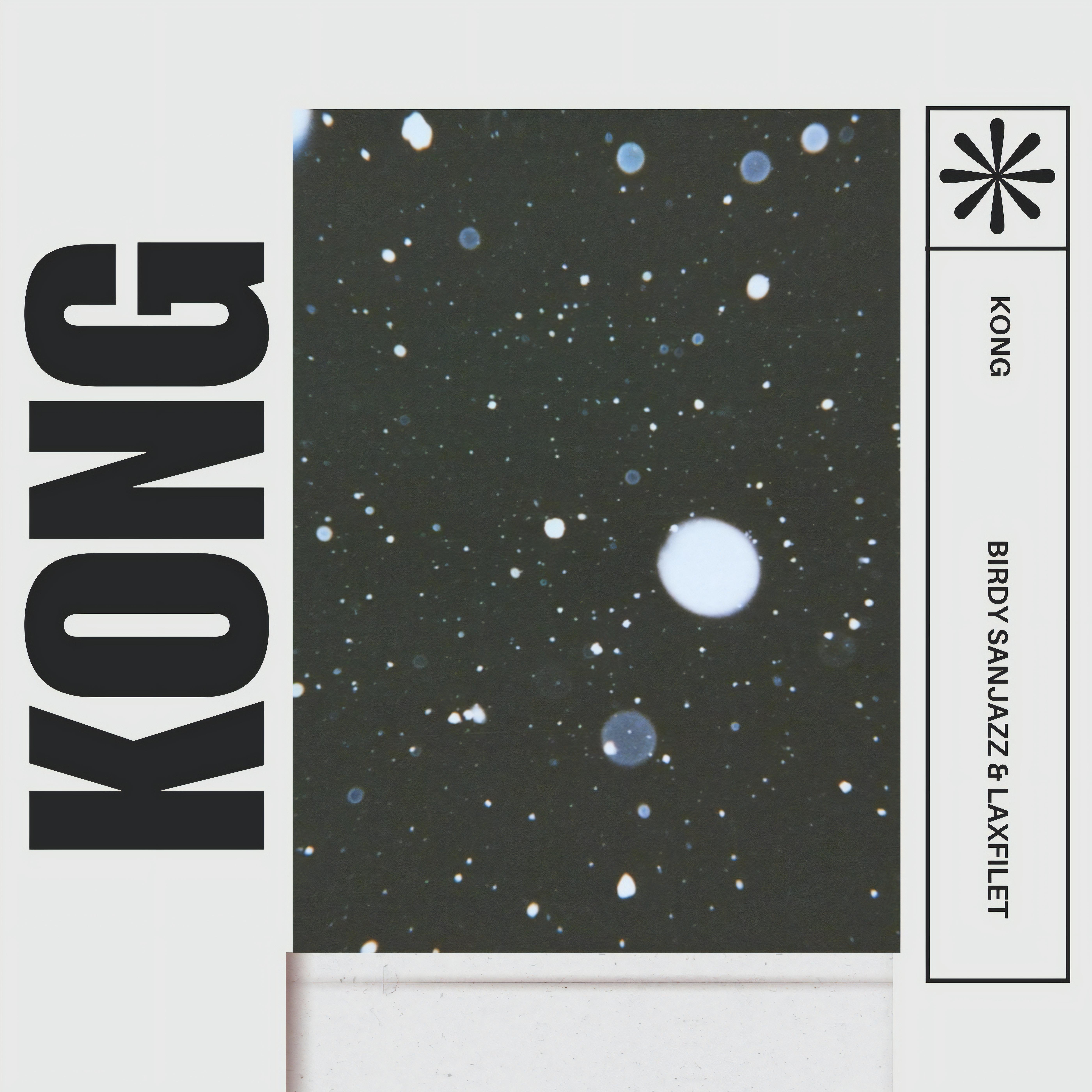 Постер альбома Kong