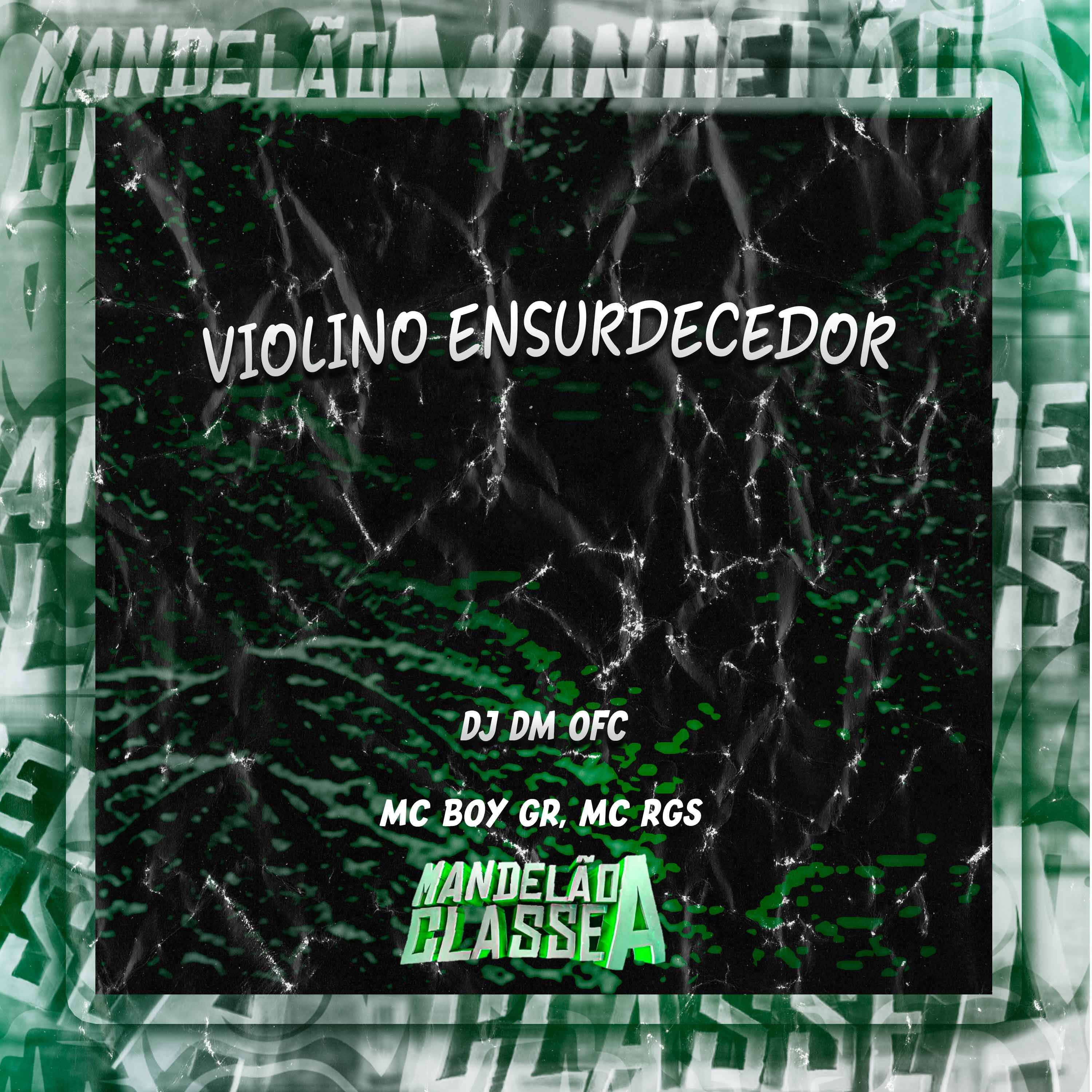 Постер альбома Violino Ensurdecedor
