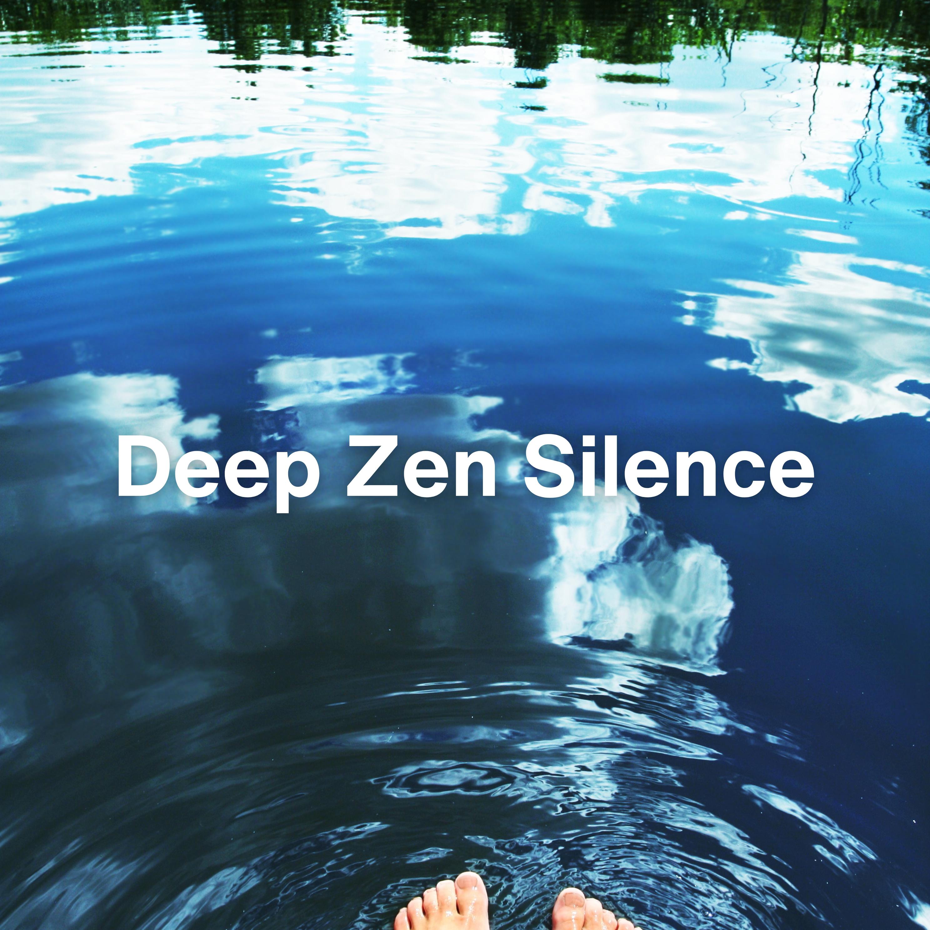 Постер альбома Deep Zen Silence