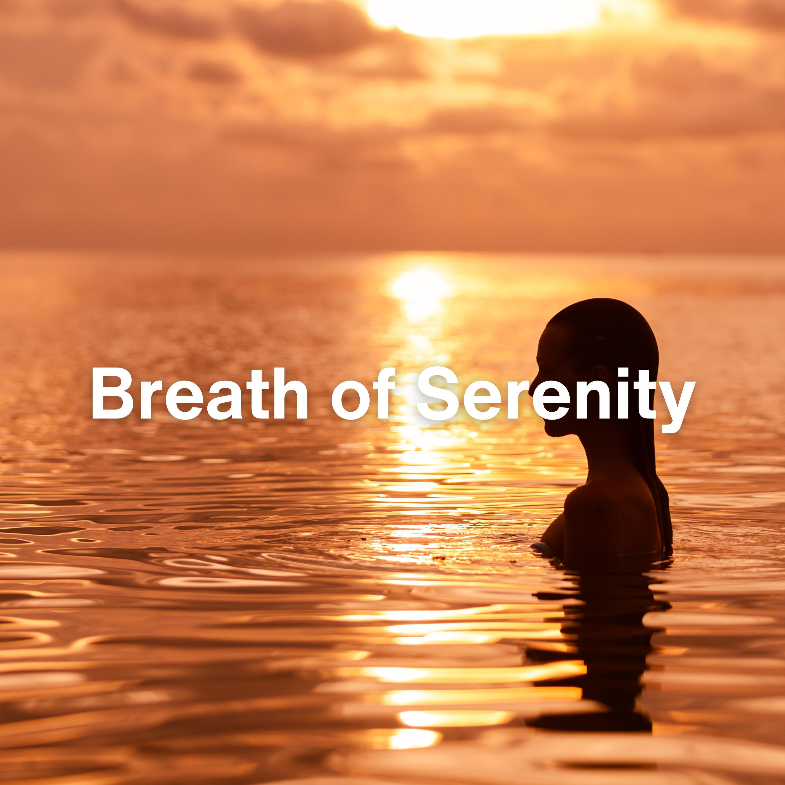 Постер альбома Breath of Serenity