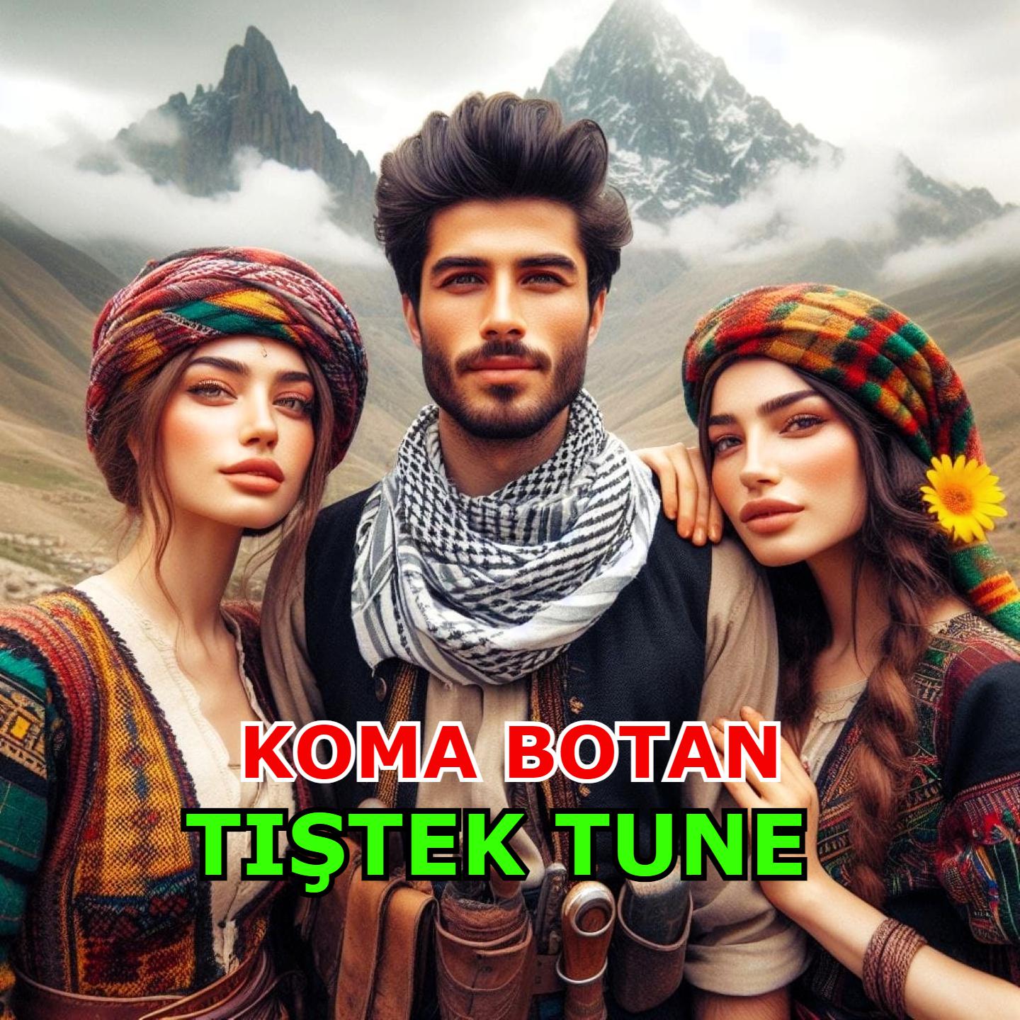 Постер альбома Tiştek Tune
