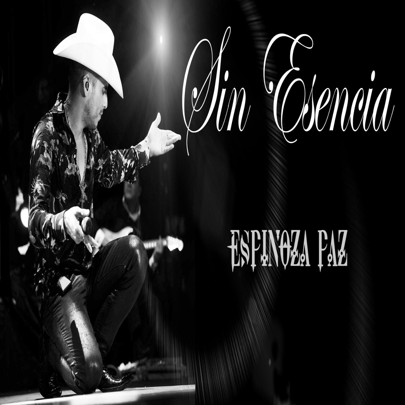 Постер альбома Sin Esencia