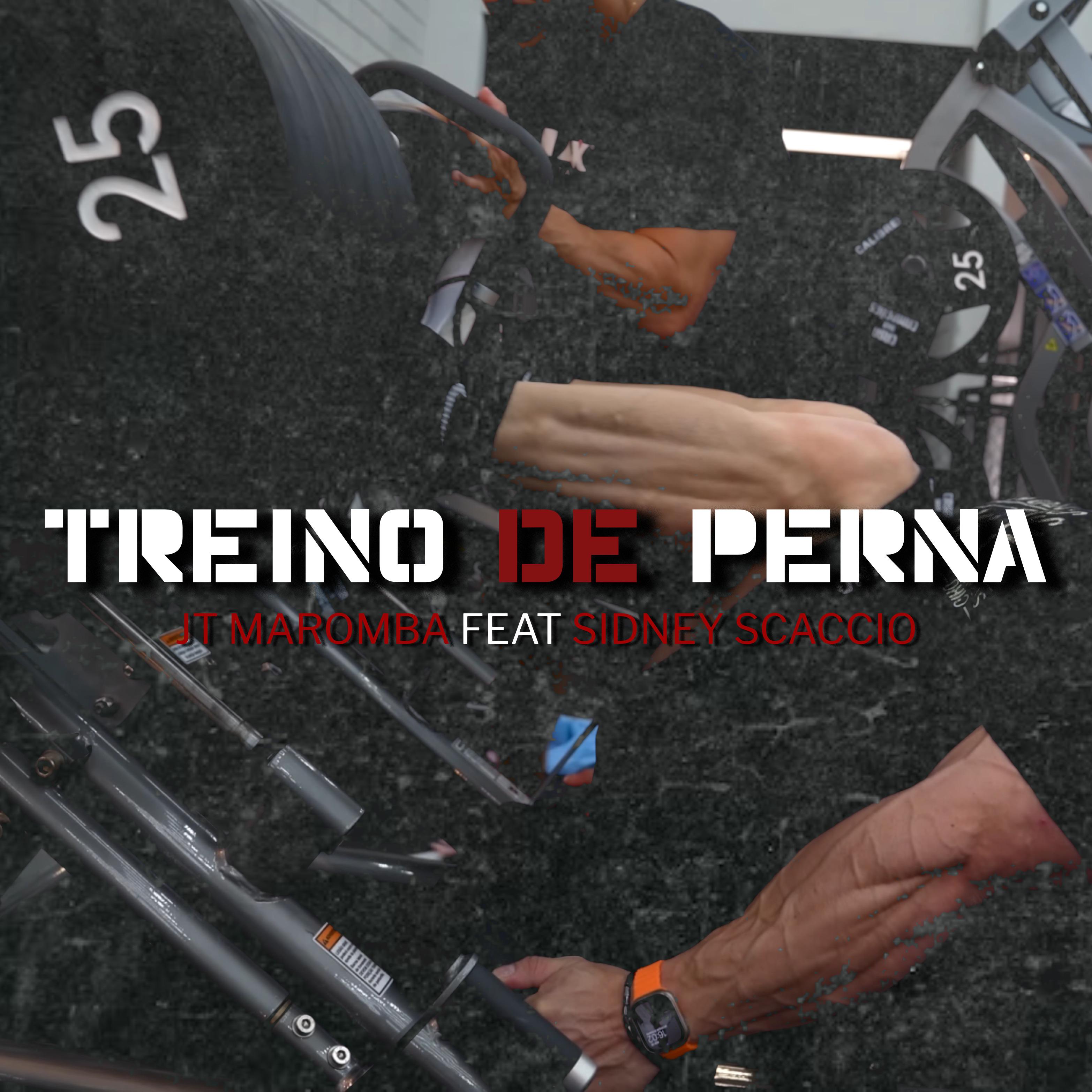 Постер альбома Treino de Perna
