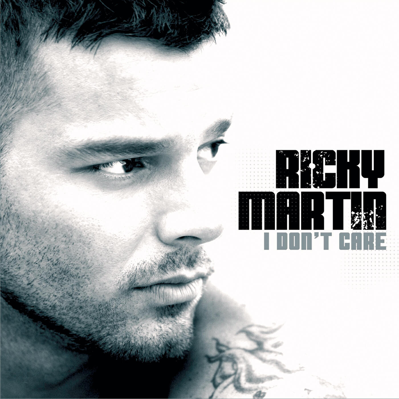 Ricky Martin - I Don't Care (Luny Tunes Reggaeton Mix)
