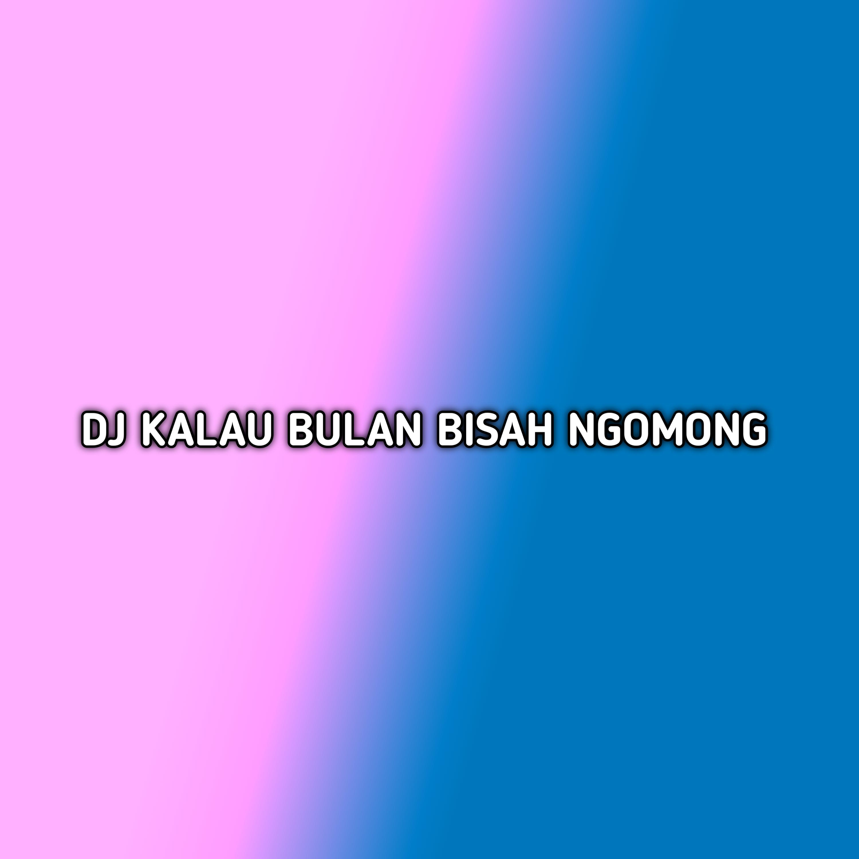 Постер альбома DJ KALAU BULAN BISAH NGOMONG