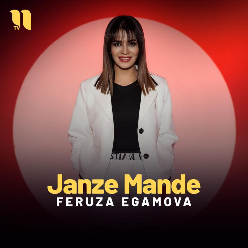 Постер альбома Janze Mande