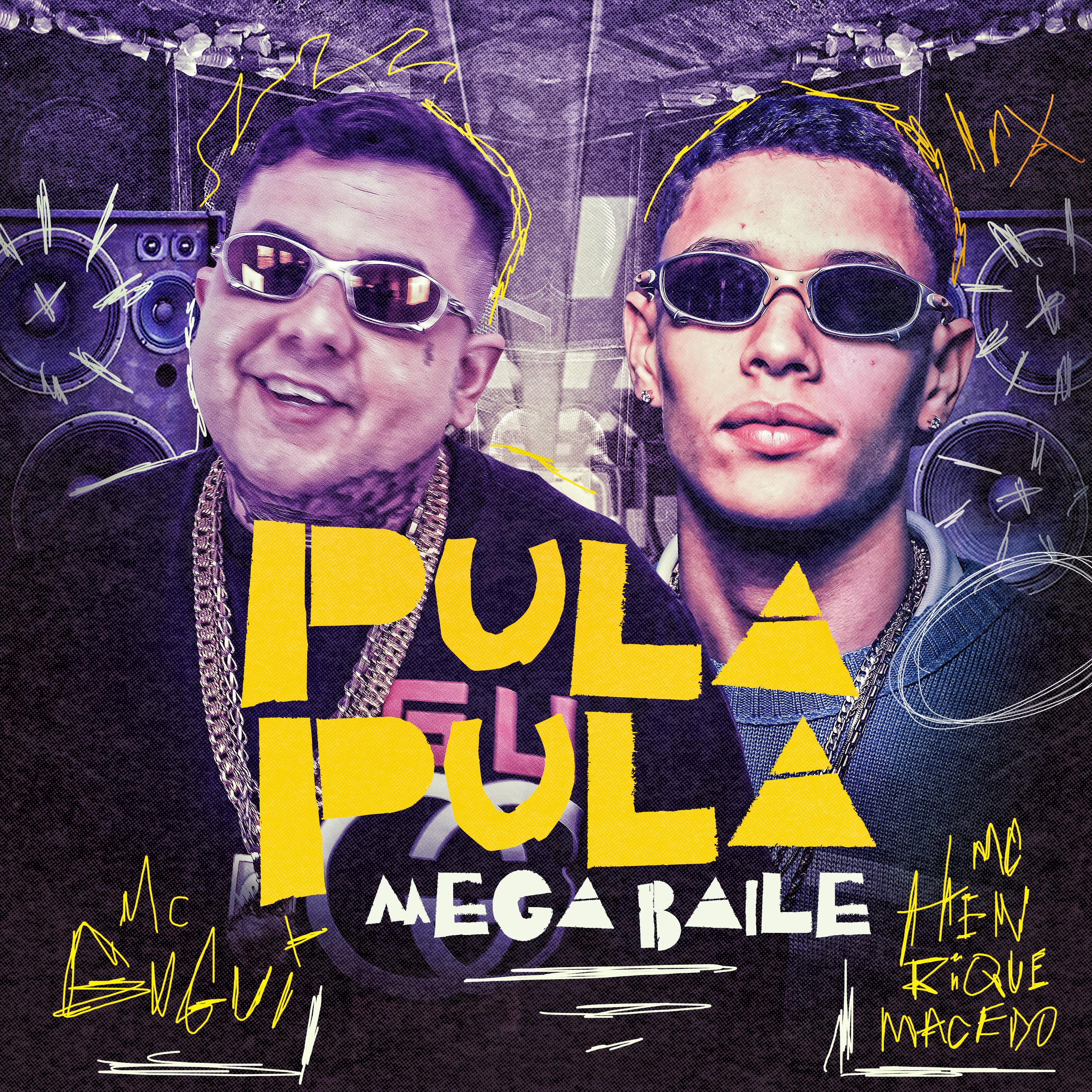 Постер альбома Pula Pula Mega Baile