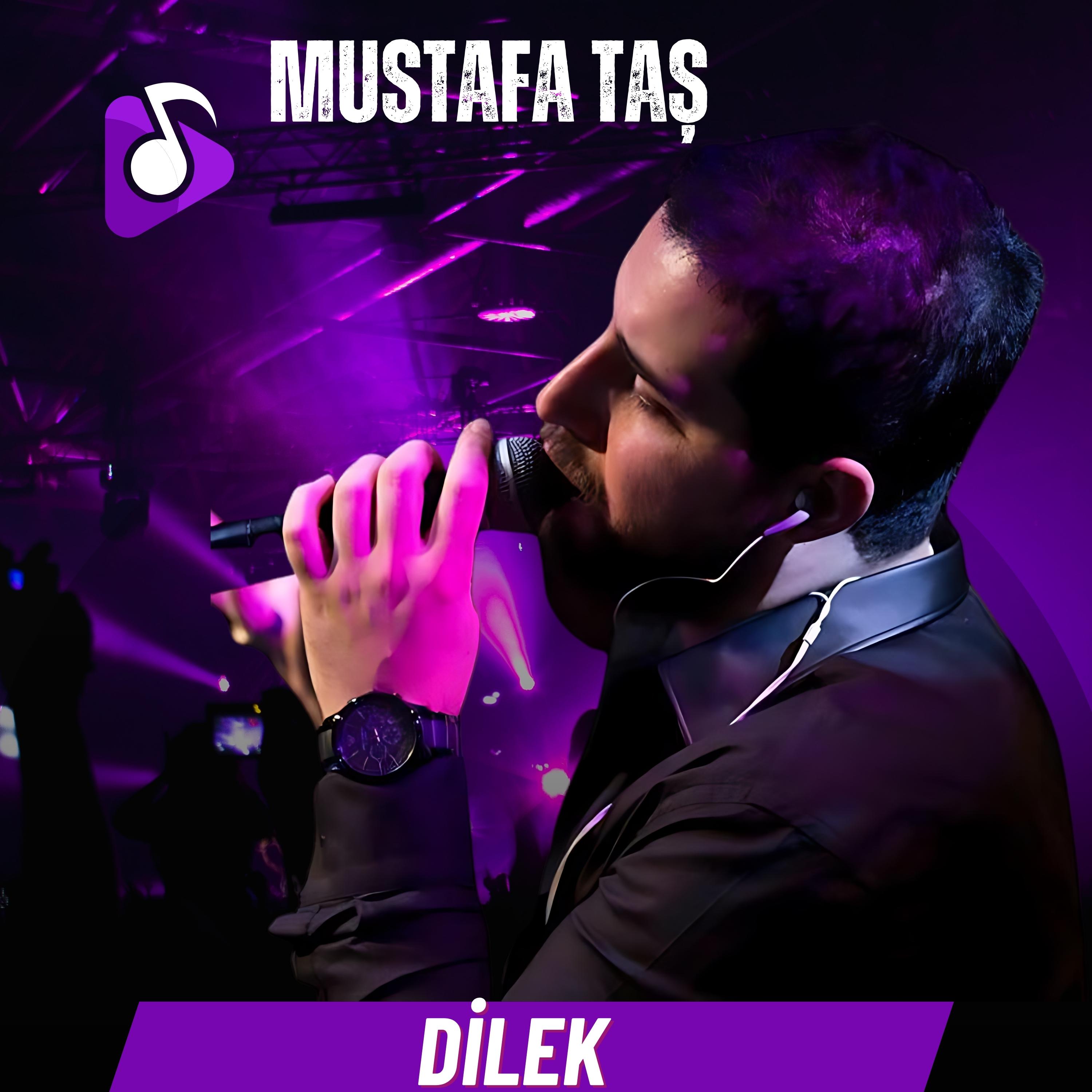 Постер альбома Dilek