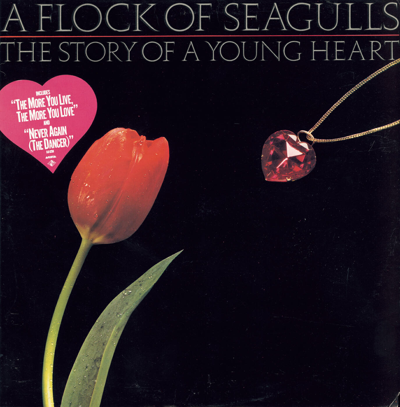 A Flock Of Seagulls - The Story of a Young Heart