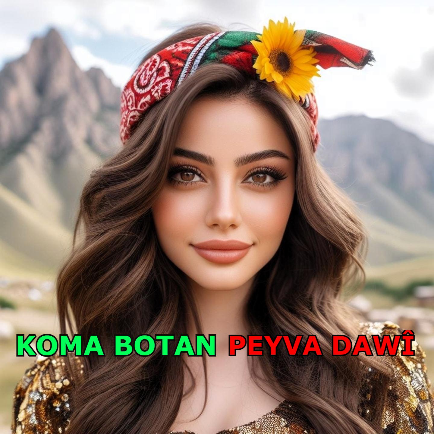 Постер альбома Peyva Dawî