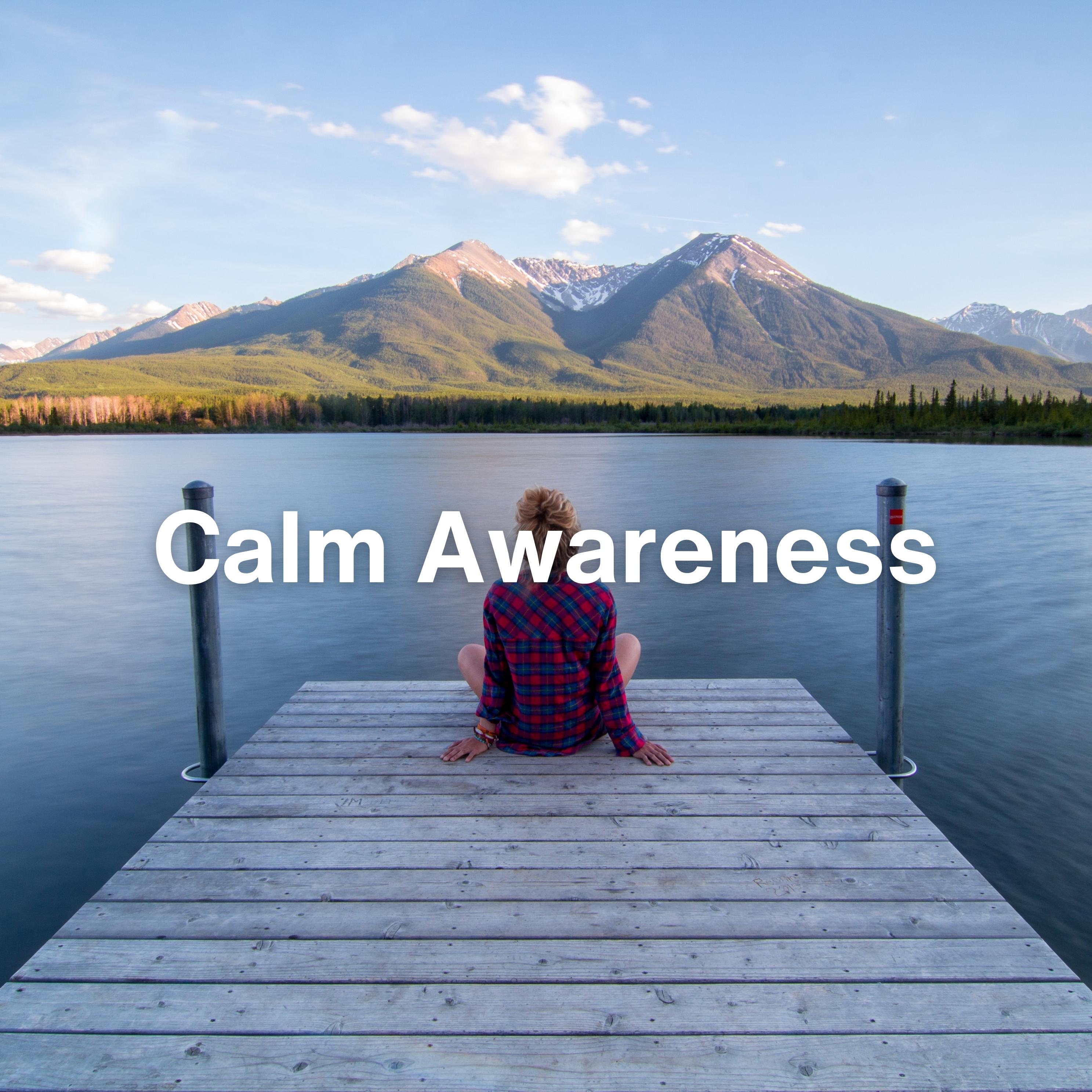 Постер альбома Calm Awareness