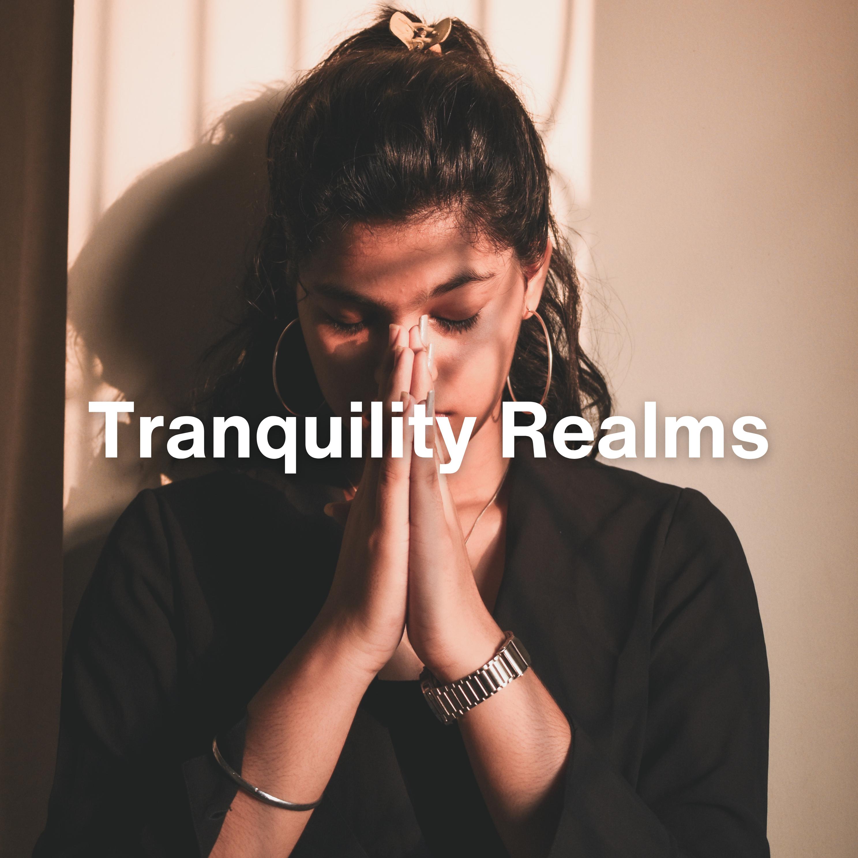 Постер альбома Tranquility Realms