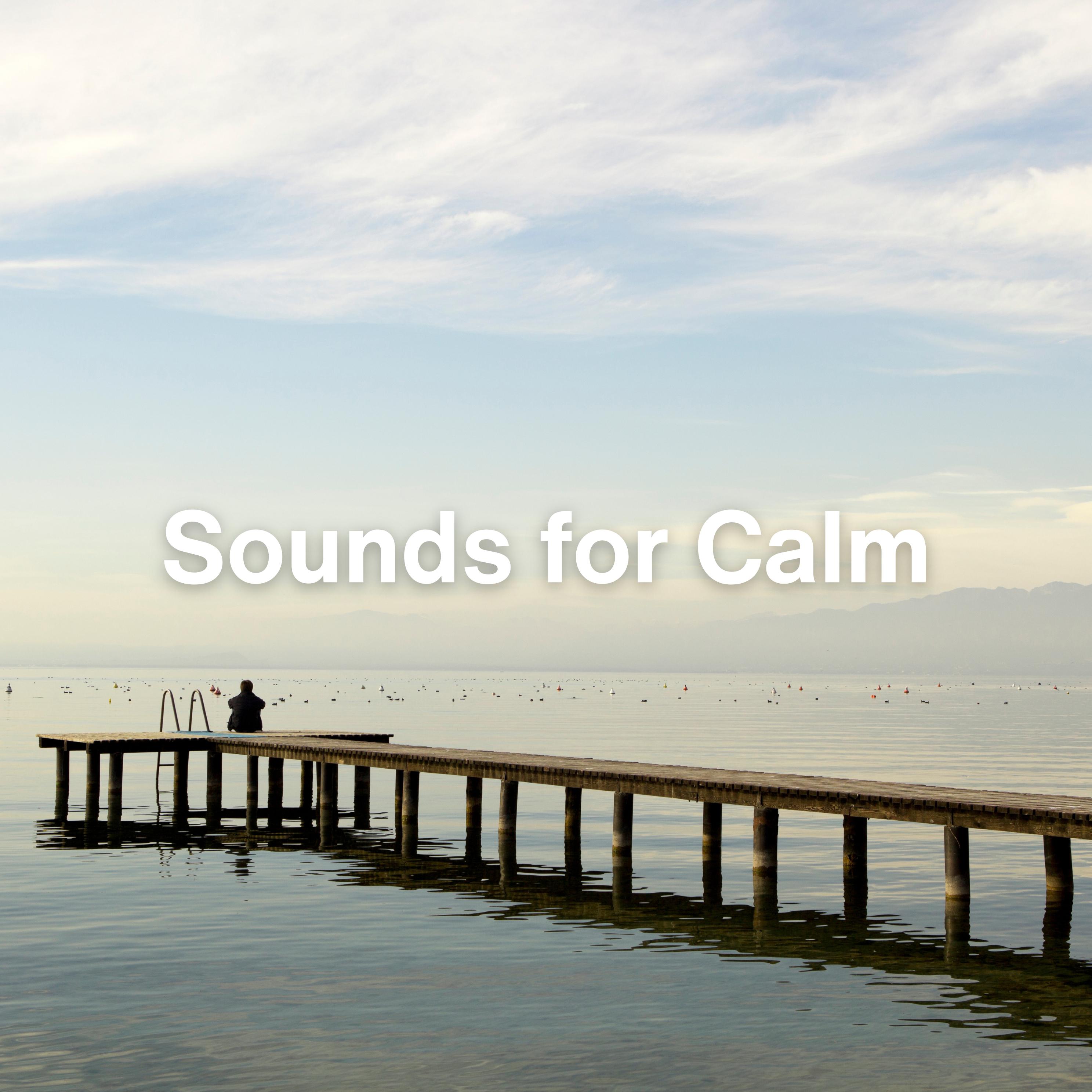 Постер альбома Sounds for Calm