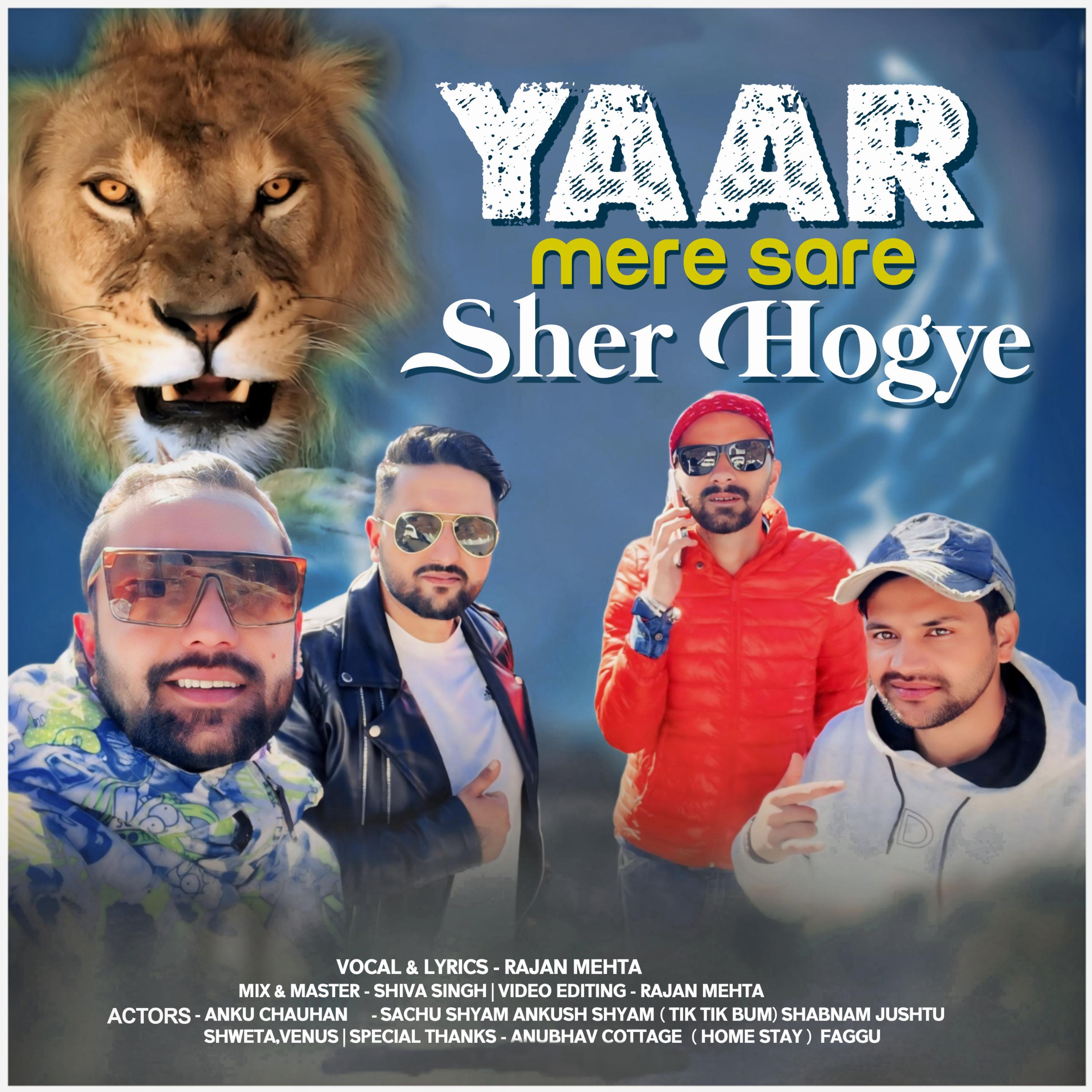 Постер альбома Yaar Mere Sare Sher Hogye