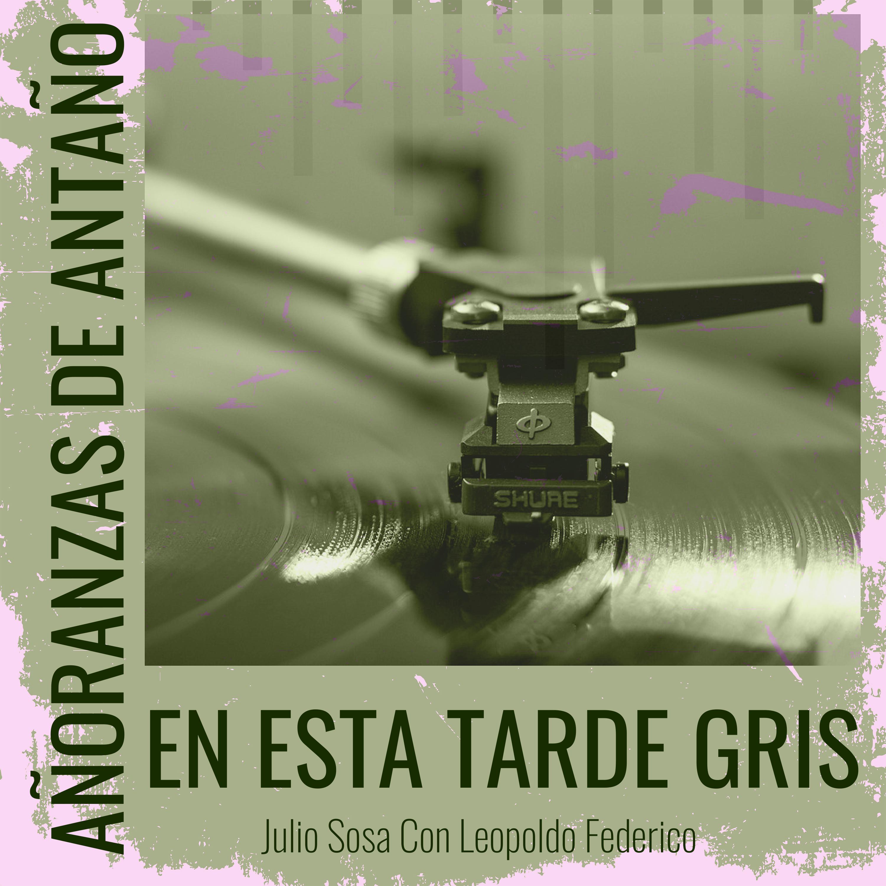 Постер альбома Añoranzas de Antaño - En Esta Tarde Gris