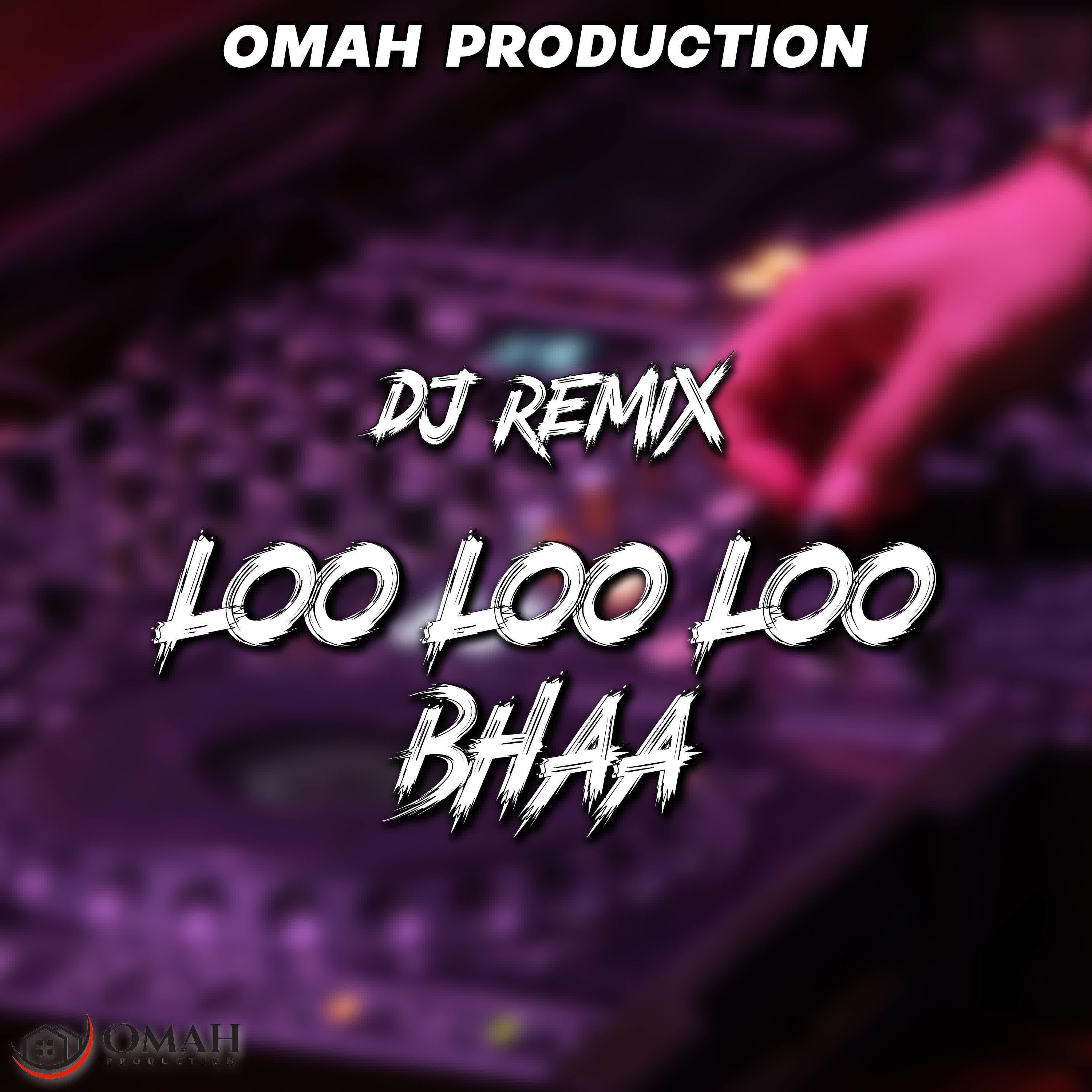Постер альбома DJ LOO LOO LOO BHAA REMIX