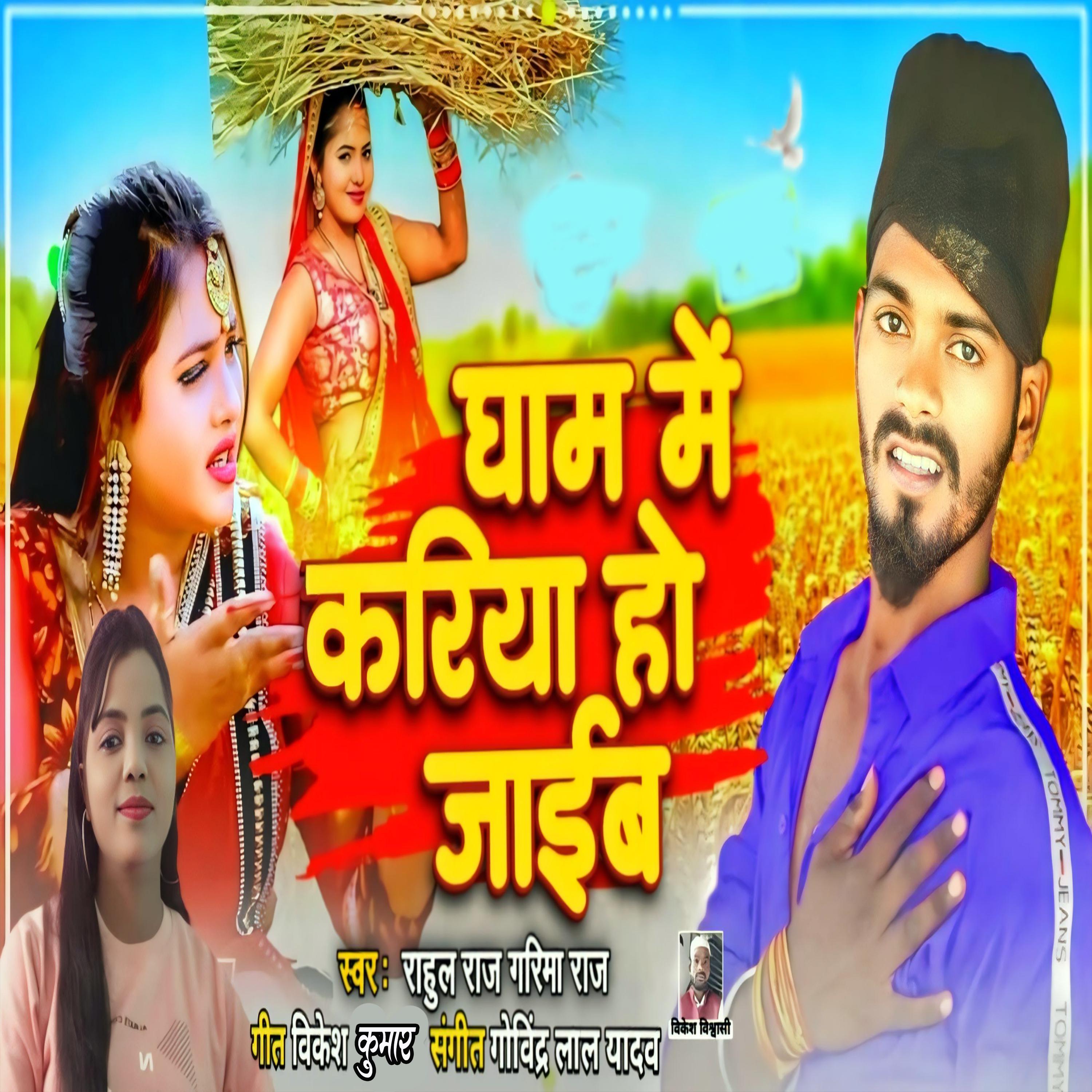 Постер альбома Gham Me Kariya Ho Jaib