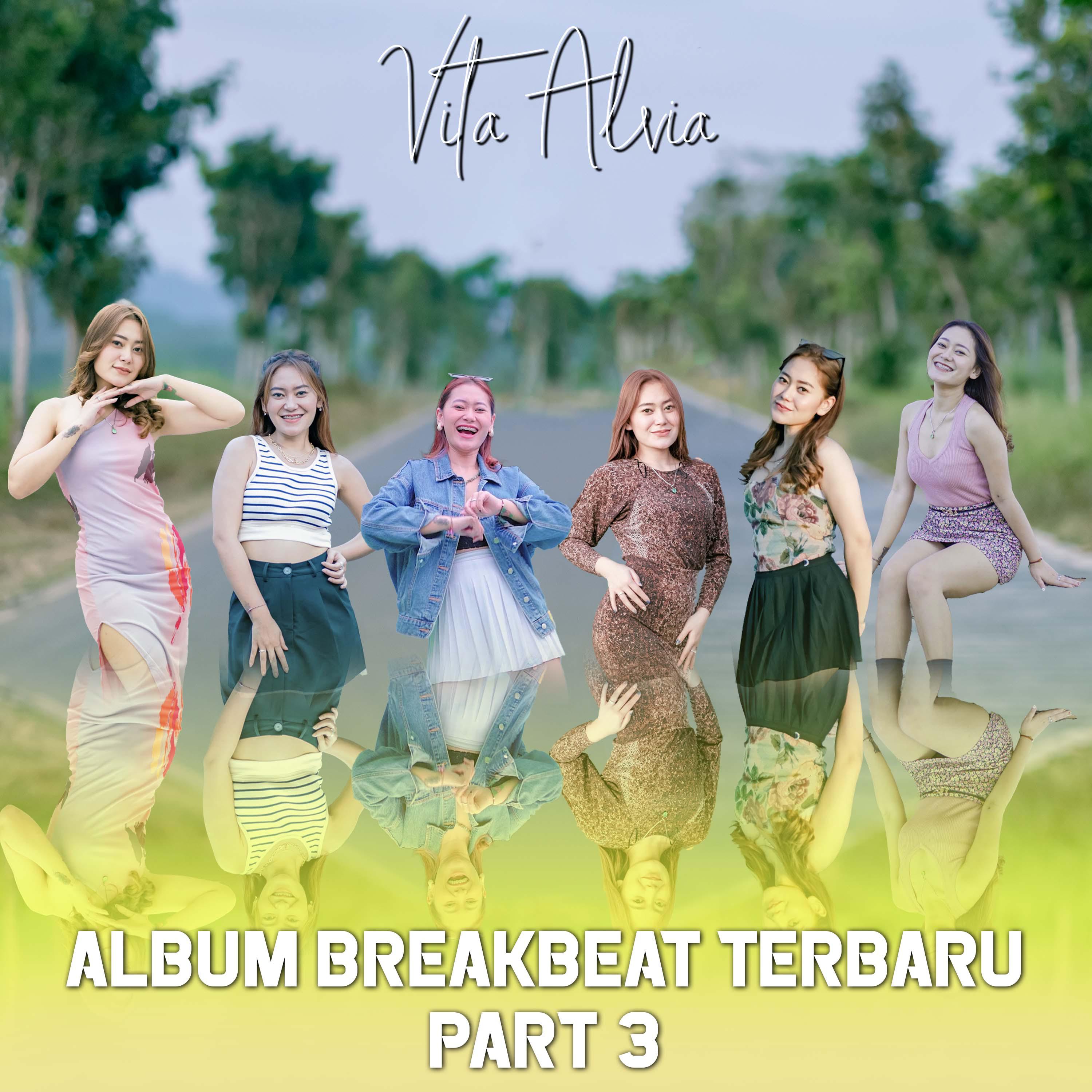 Постер альбома Album Breakbeat Terbaru, Pt. 3