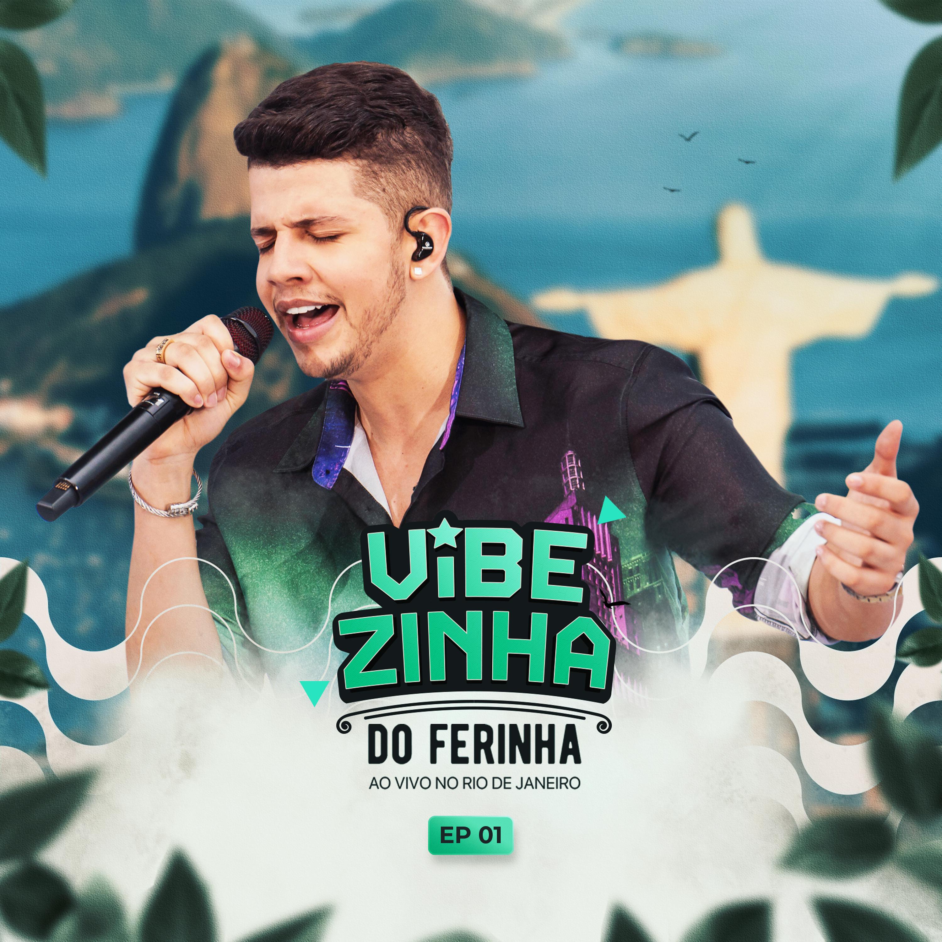 Постер альбома Vibezinha do Ferinha, Ep 01