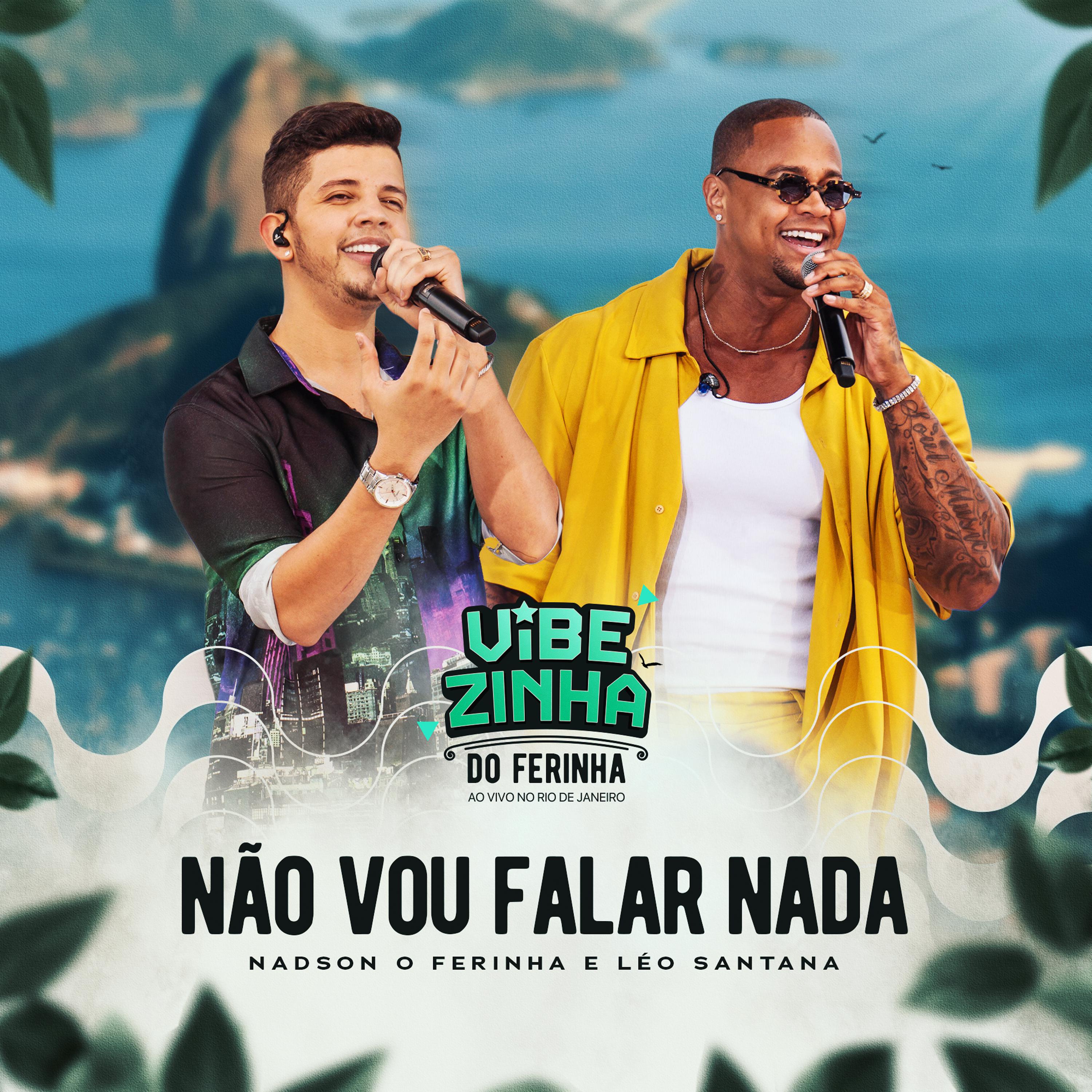 Постер альбома Não Vou Falar Nada (Vibezinha do Ferinha)
