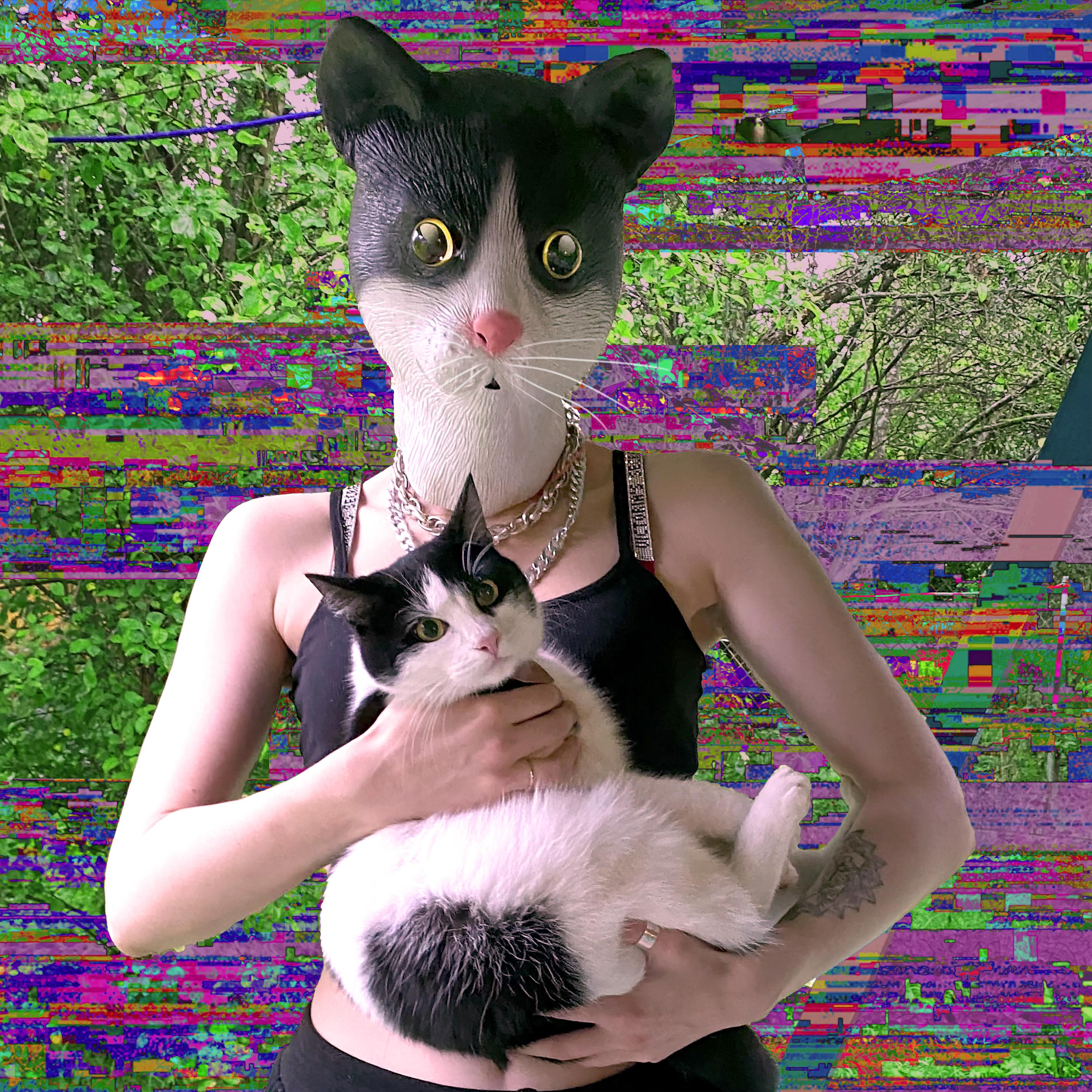 Постер альбома Сапфирчик кот 2