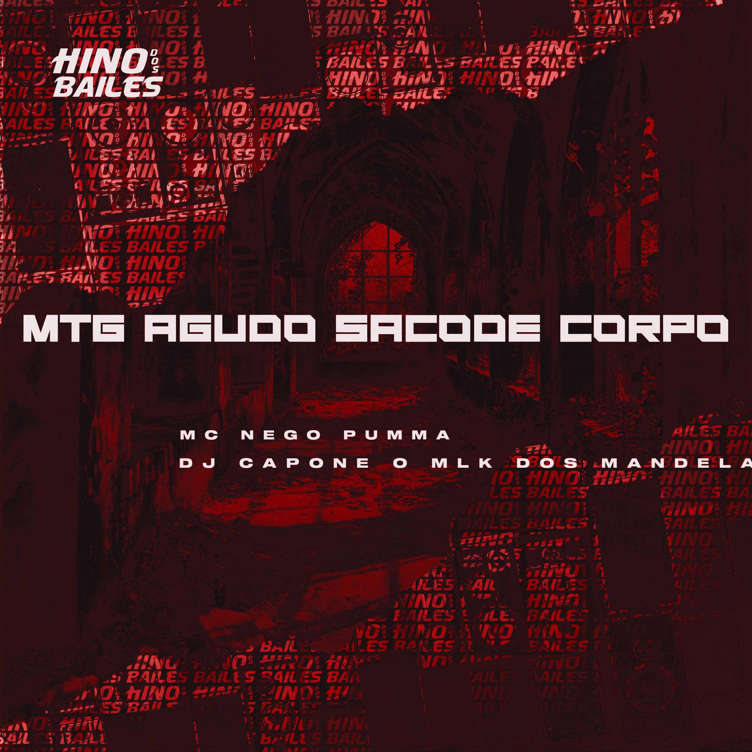 Постер альбома Mtg Agudo Sacode Corpo