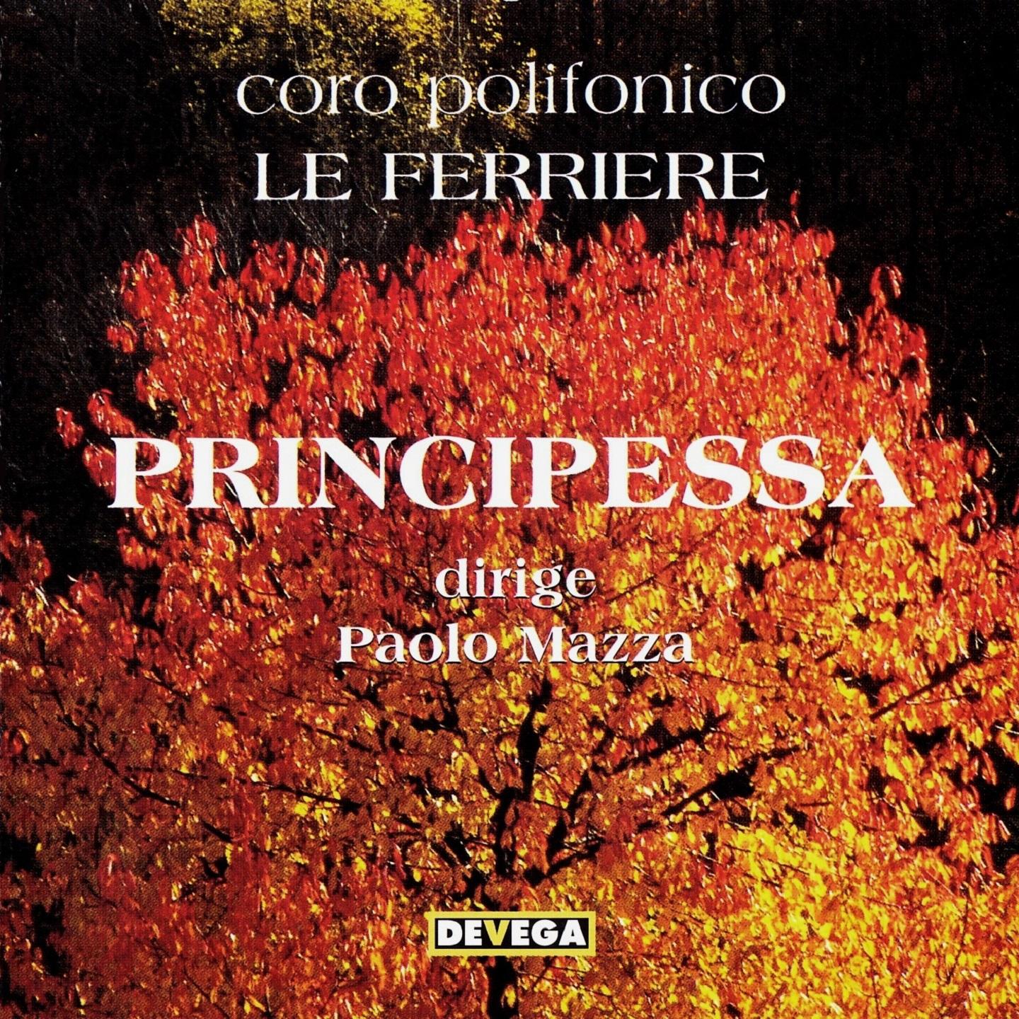 Постер альбома Principessa