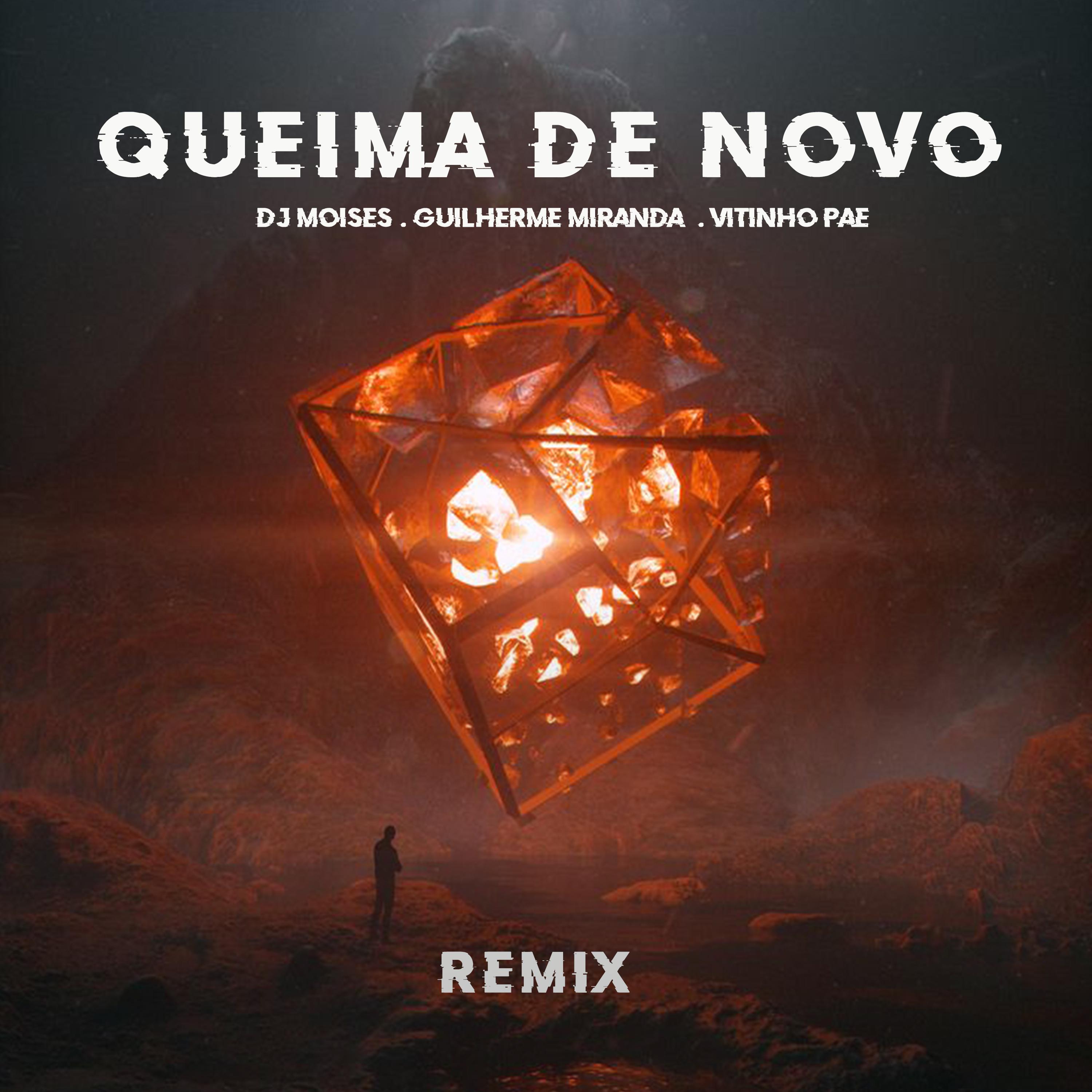 Постер альбома Queima de Novo