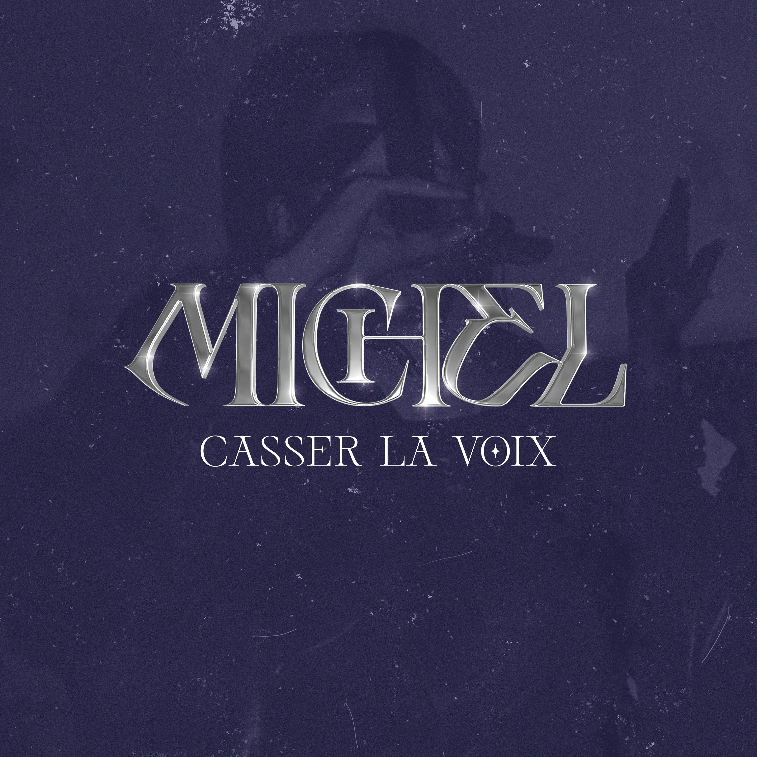 Постер альбома Casser la voix