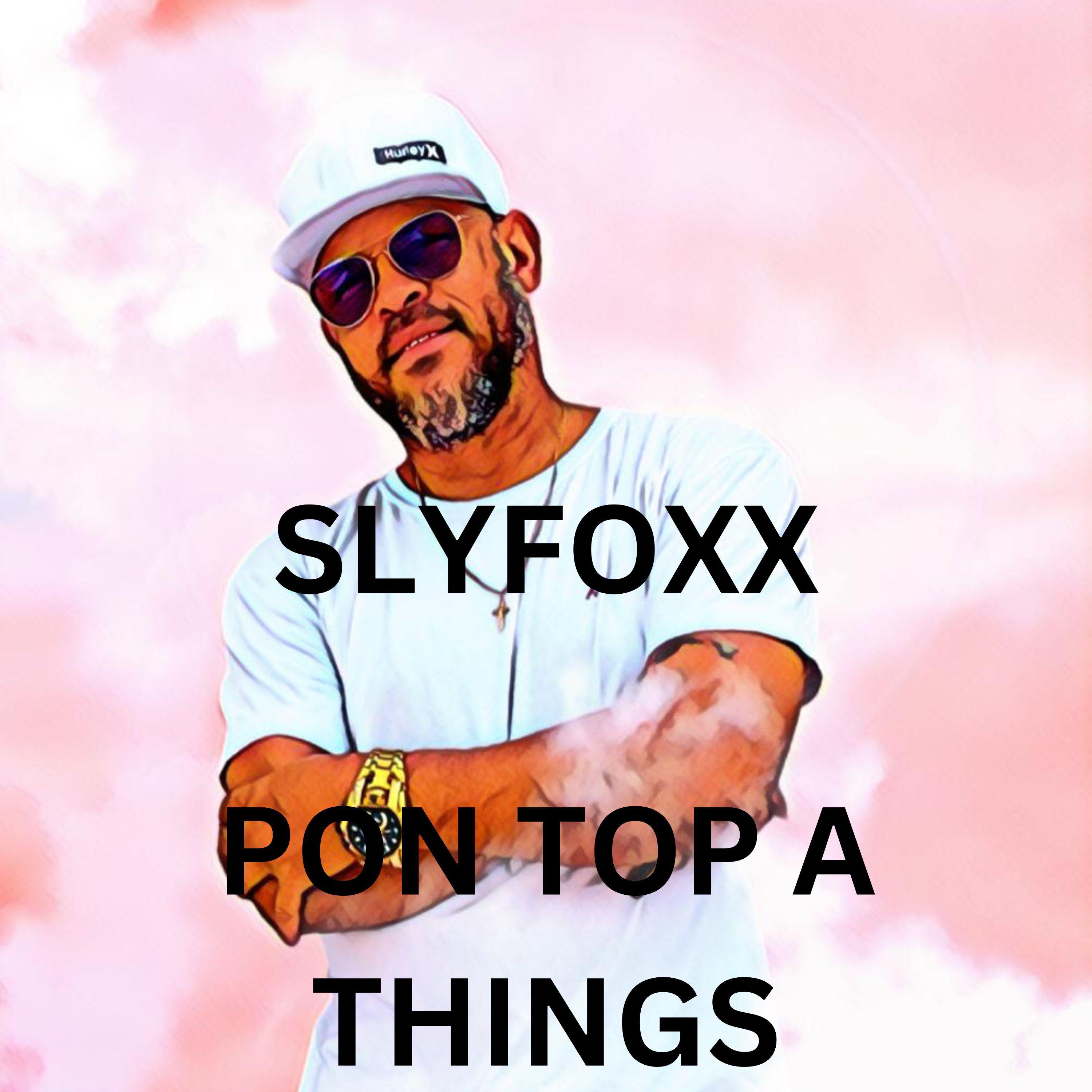 Постер альбома Pon Top a Things