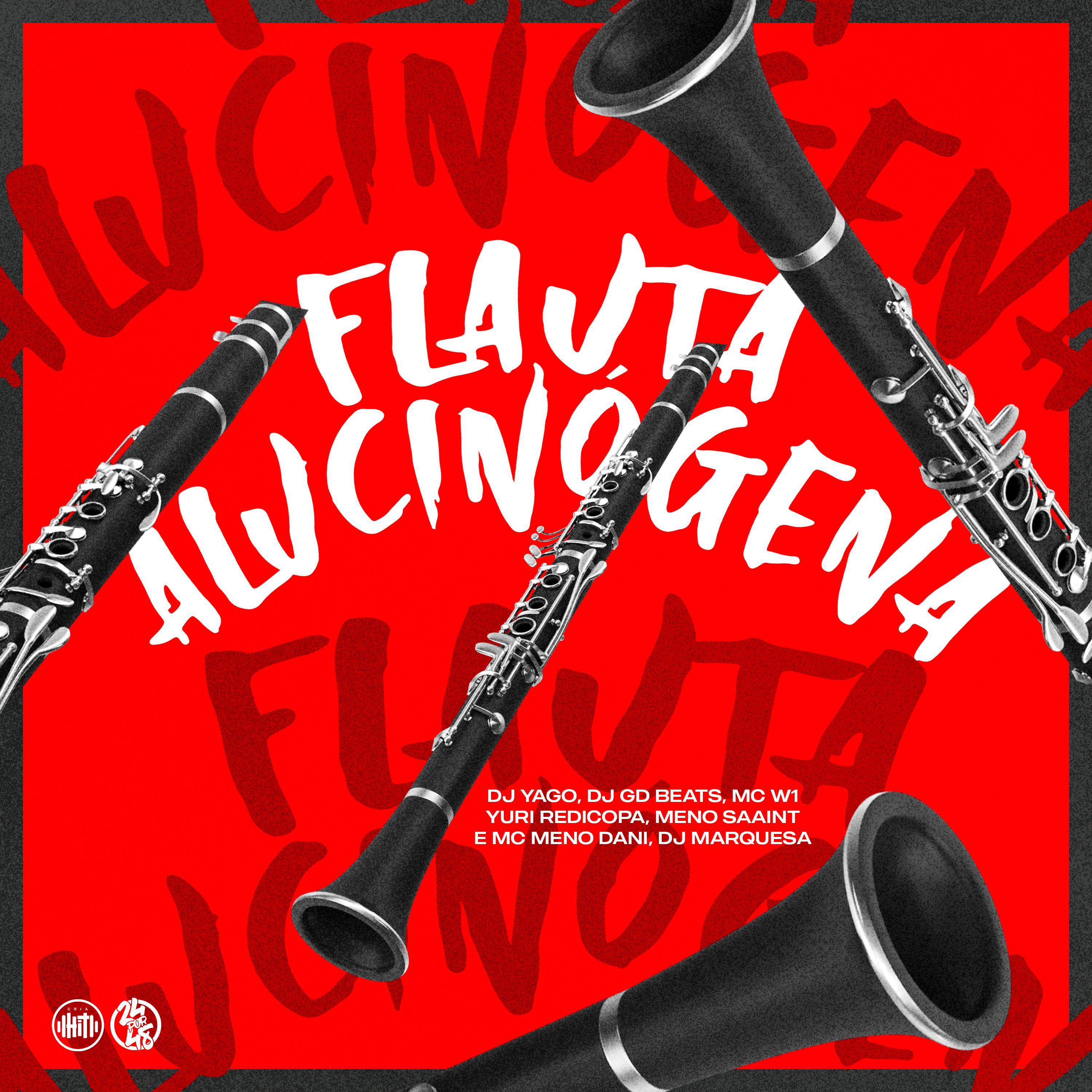 Постер альбома Flauta Alucinógena