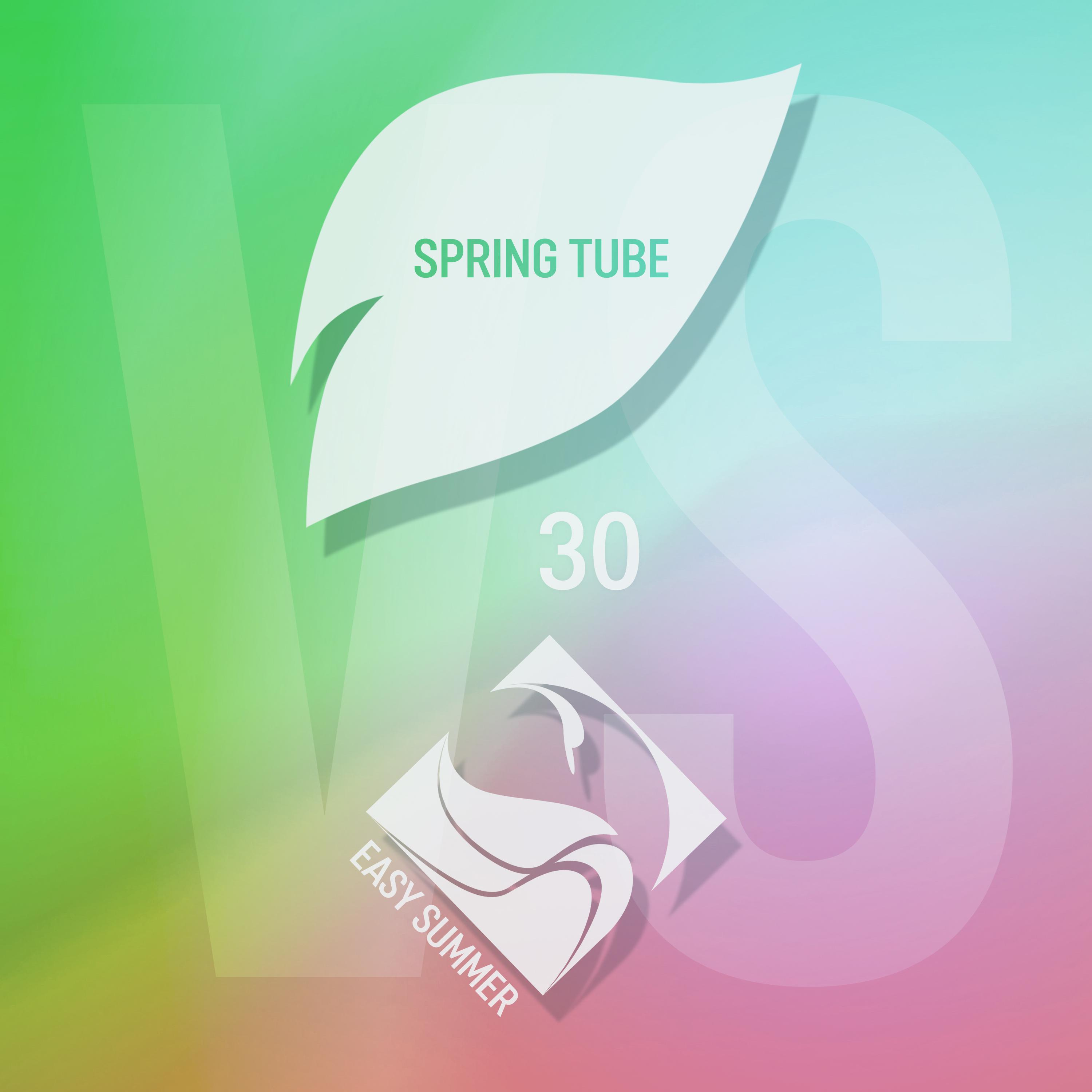 Постер альбома Spring Tube vs. Easy Summer, Vol. 30