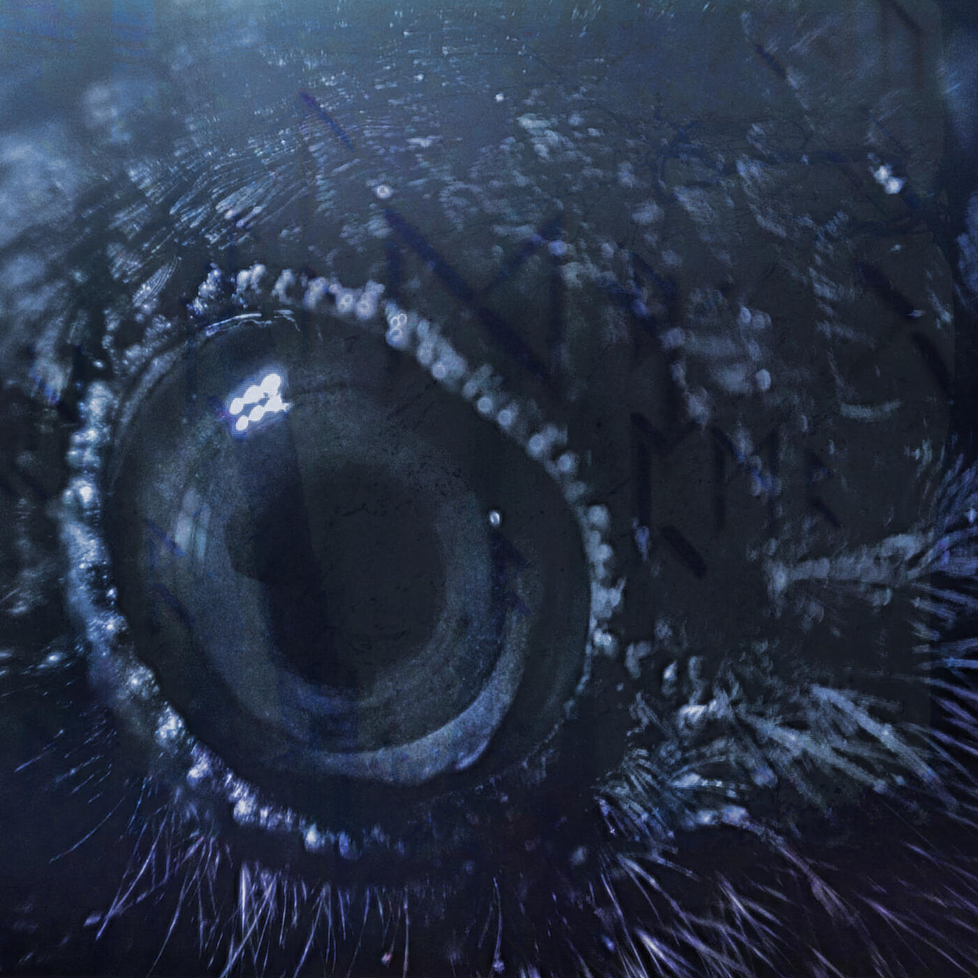 Danheim все песни в mp3