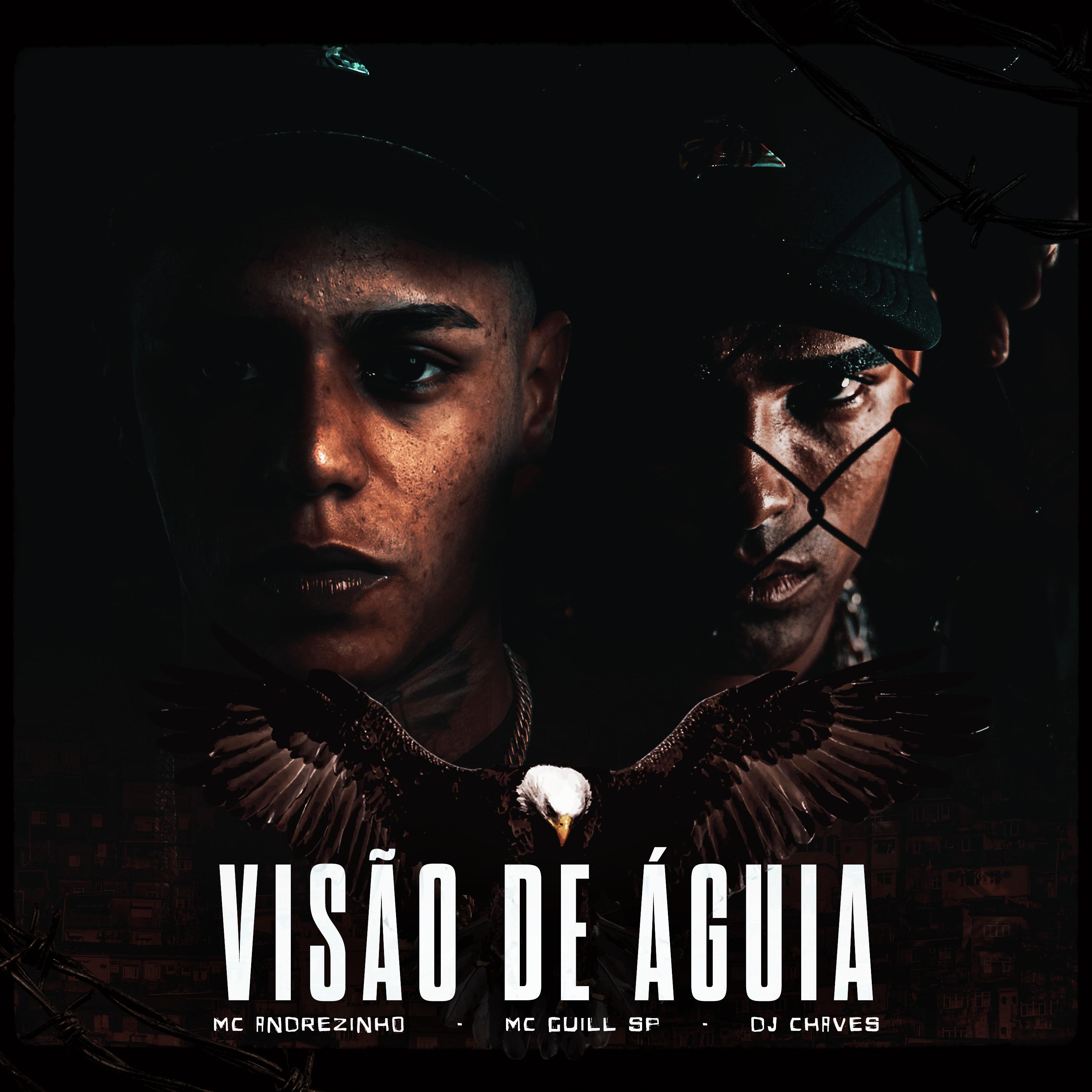 Постер альбома Visão de Águia