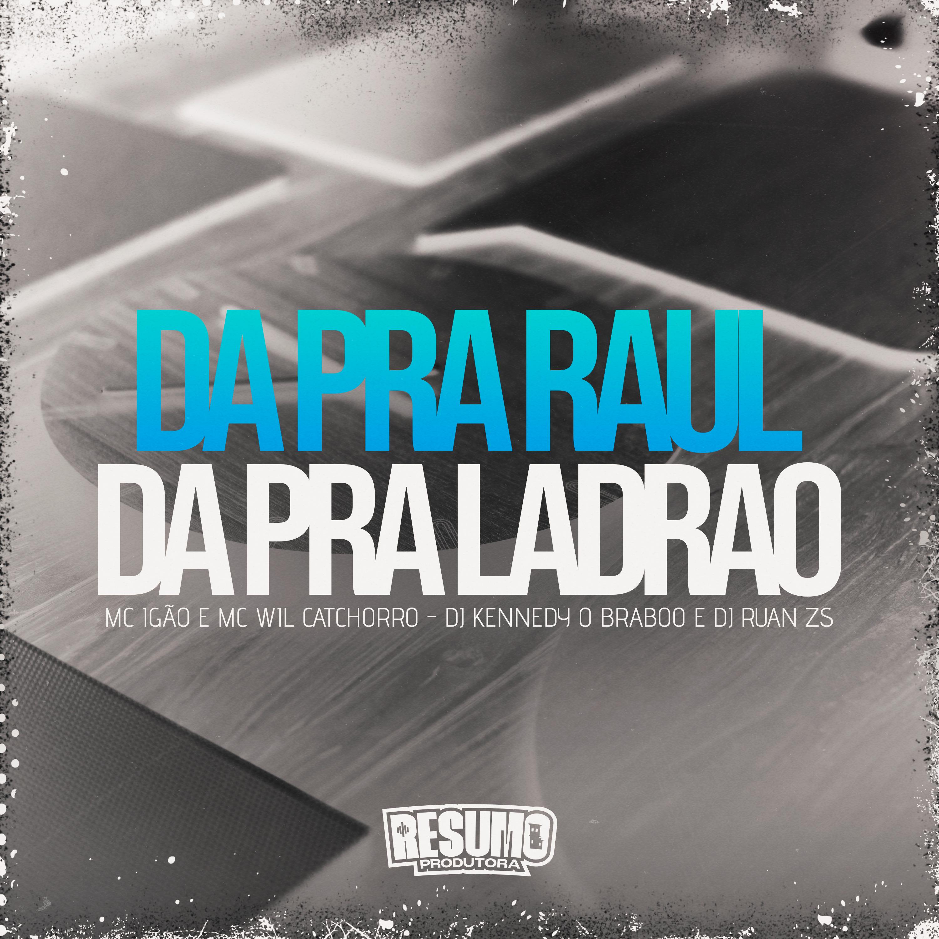 Постер альбома Da pra Raul da pra Ladrão
